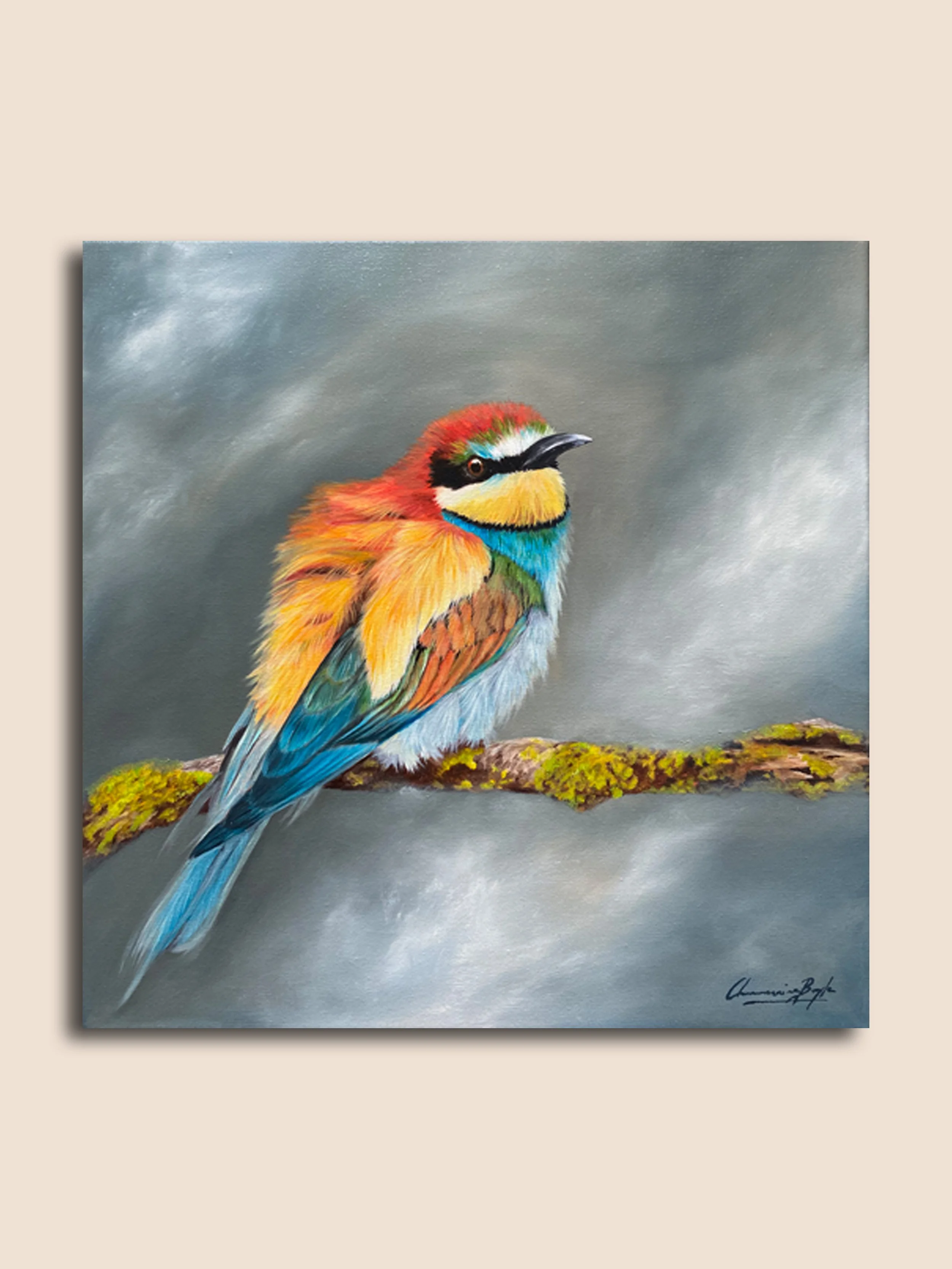 BEE-EATER (Carmine)