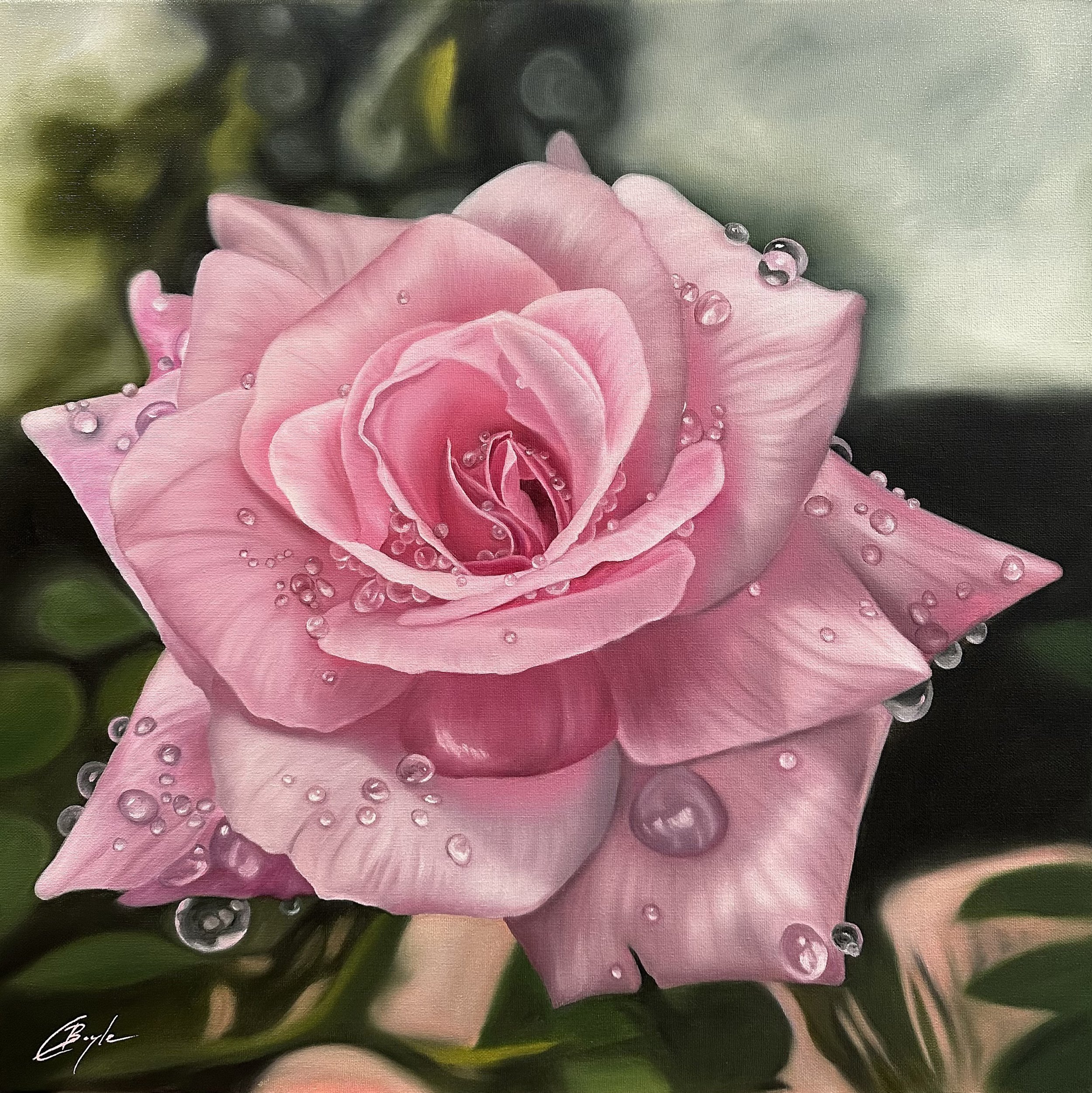 Charmaine_Boyle_Cherished_Rain_Oil_on_canvas_60x60cm_2025.jpg