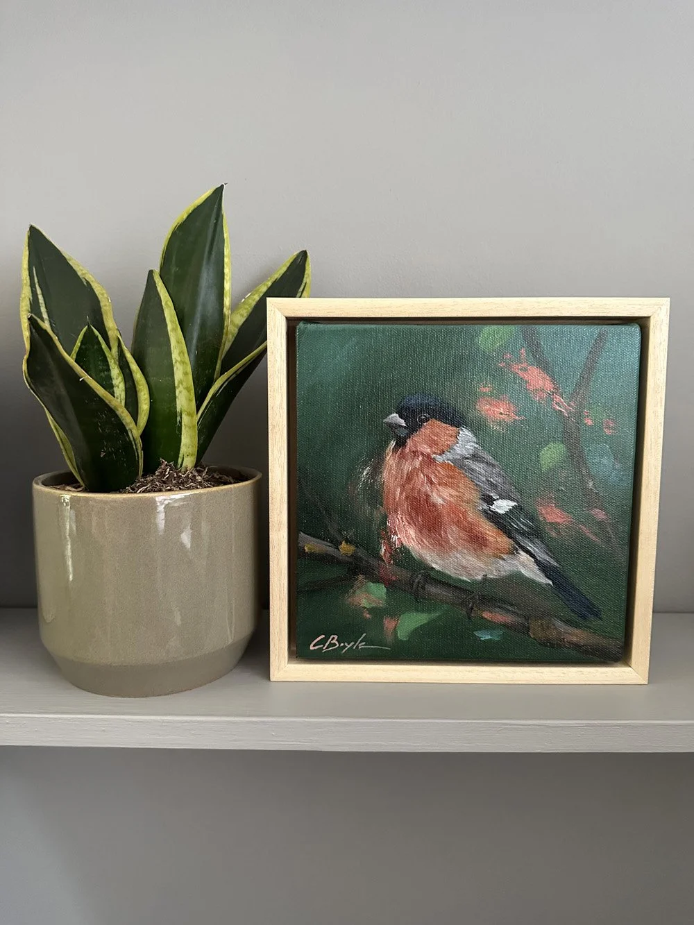 Bullfinch 2.jpg