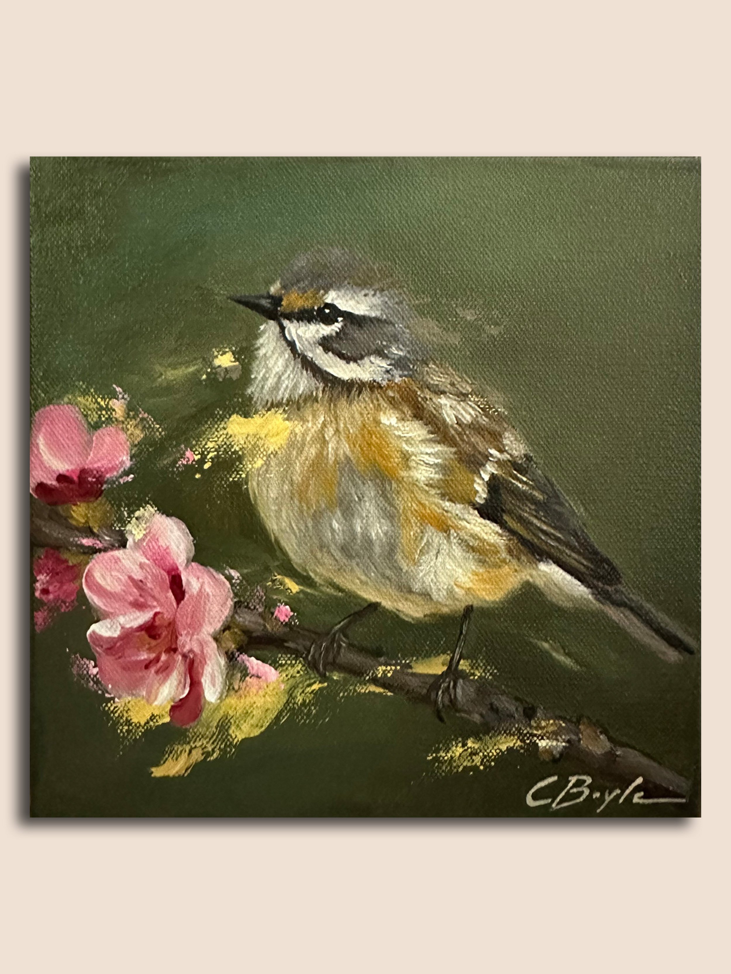 Bearded Tit MI.jpg