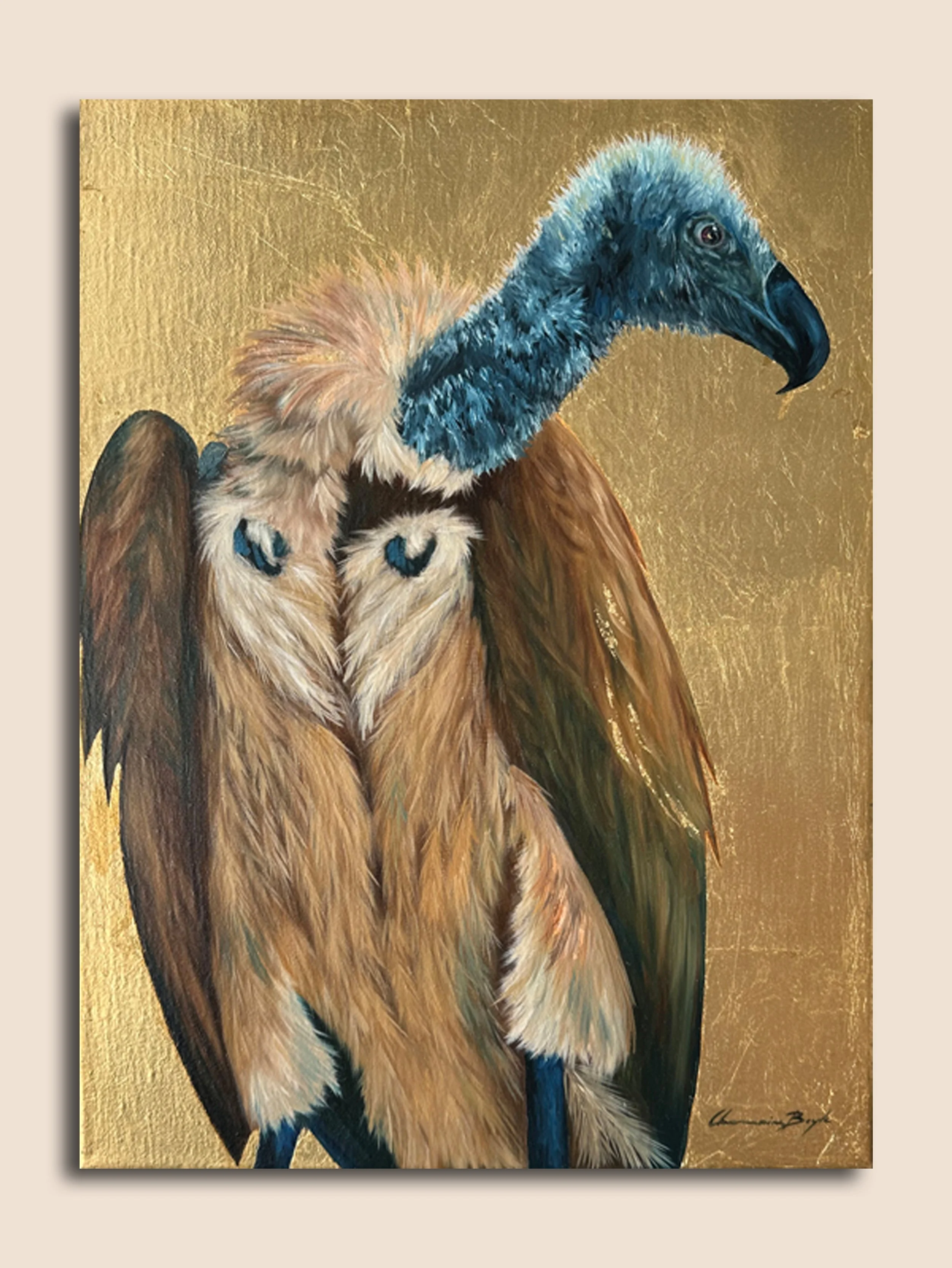 WHITE BACKED VULTURE
