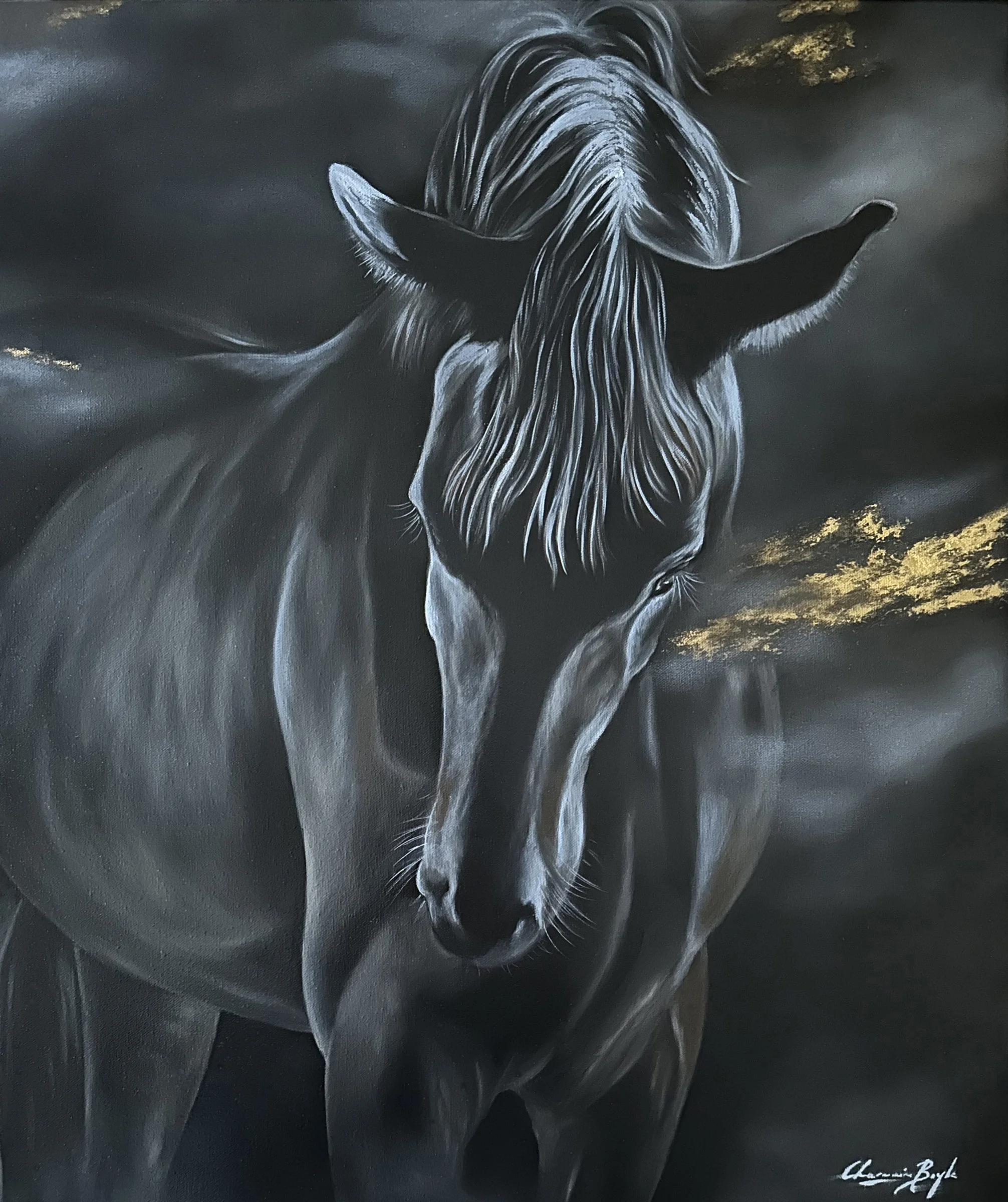 Black Gold - Oil on Canvas
Available - enquire