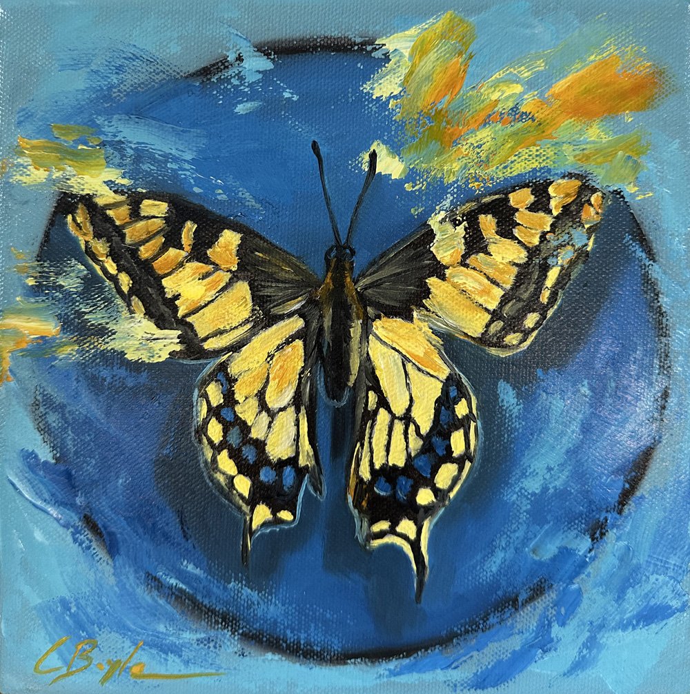 Golden Wings - Oil on Canvas - 20 x 20cm 
£175 (Framed)