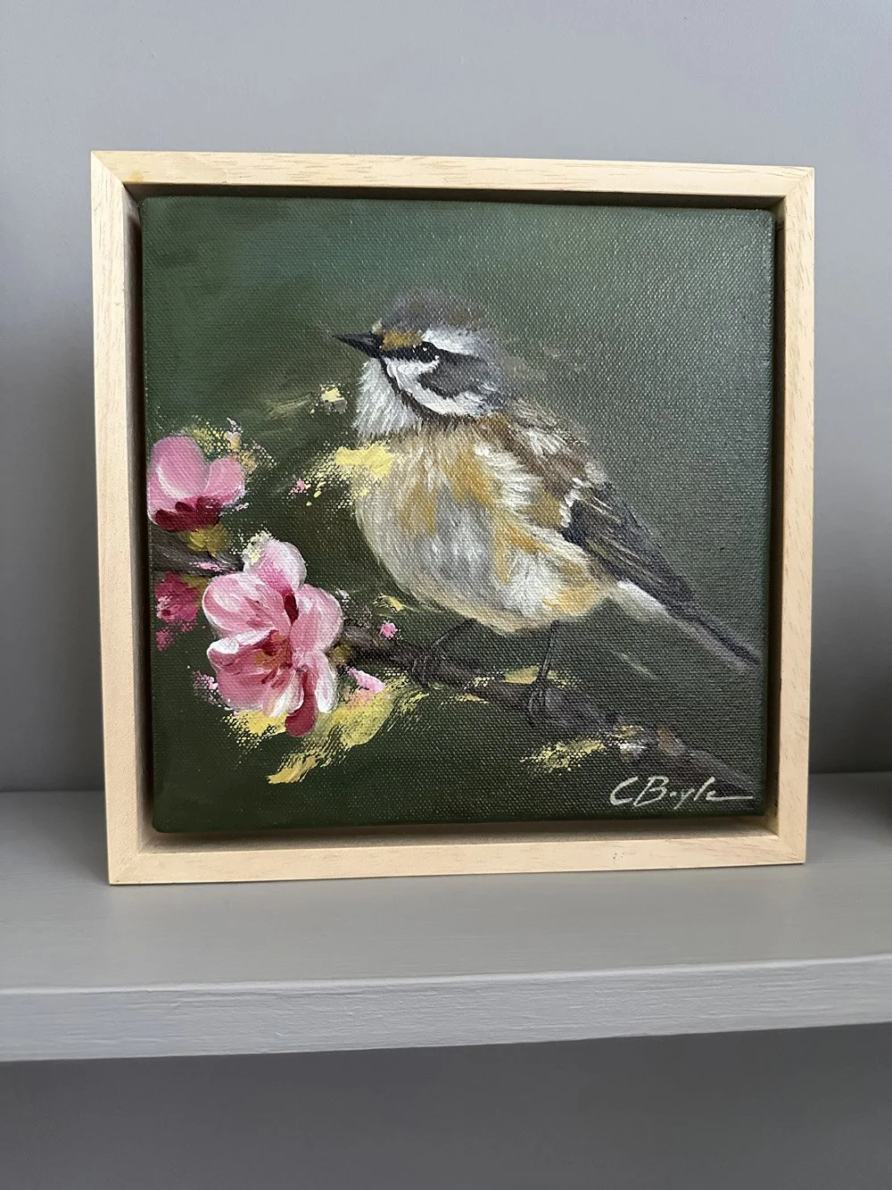 Bearded Tit 2.jpg