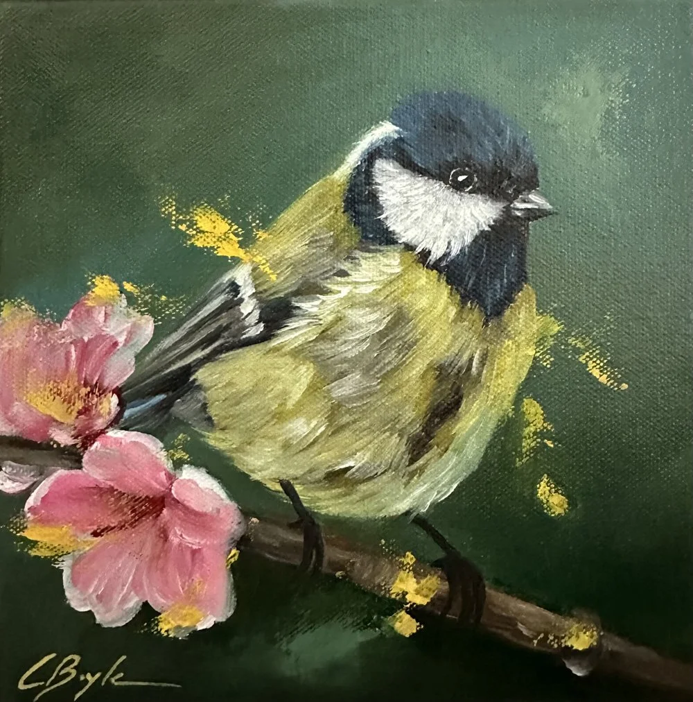 Blue Tit - Oil on Canvas - 20 x 20cm 
£175 (Framed)