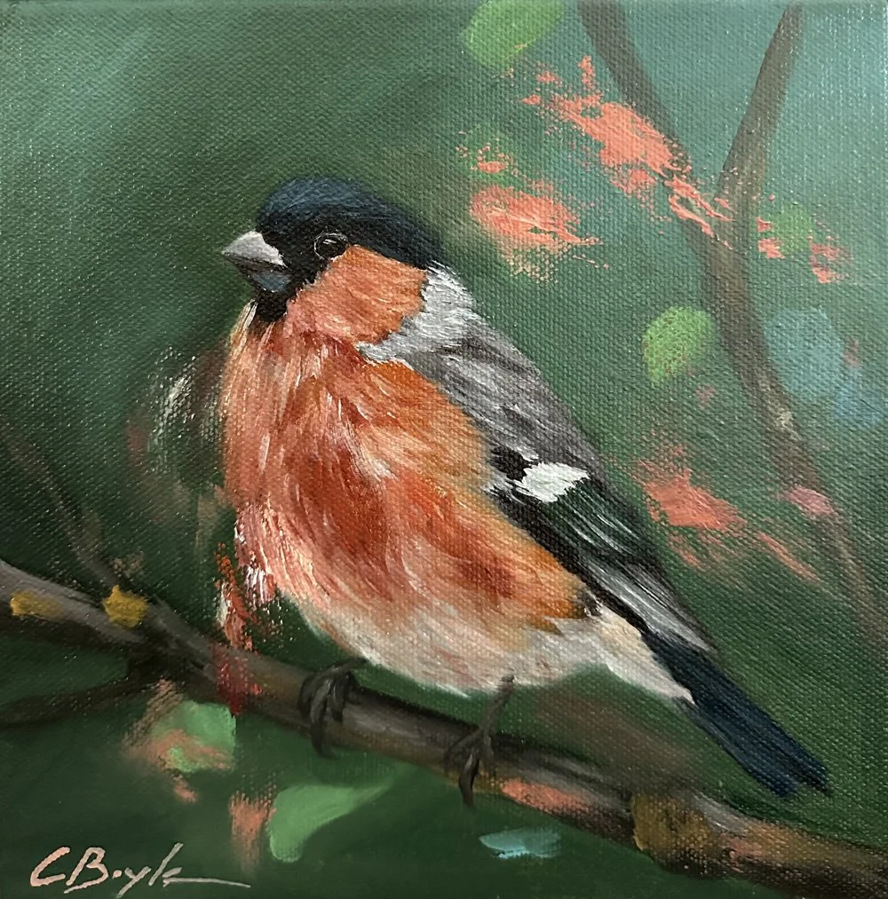Bullfinch - Oil on Canvas - 20 x 20cm
£175 (Framed)