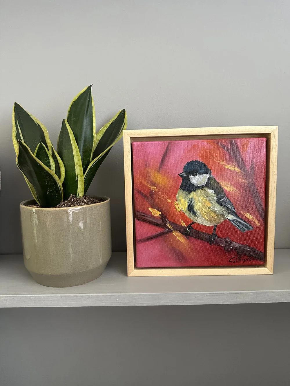 Bluetit in Red.jpg