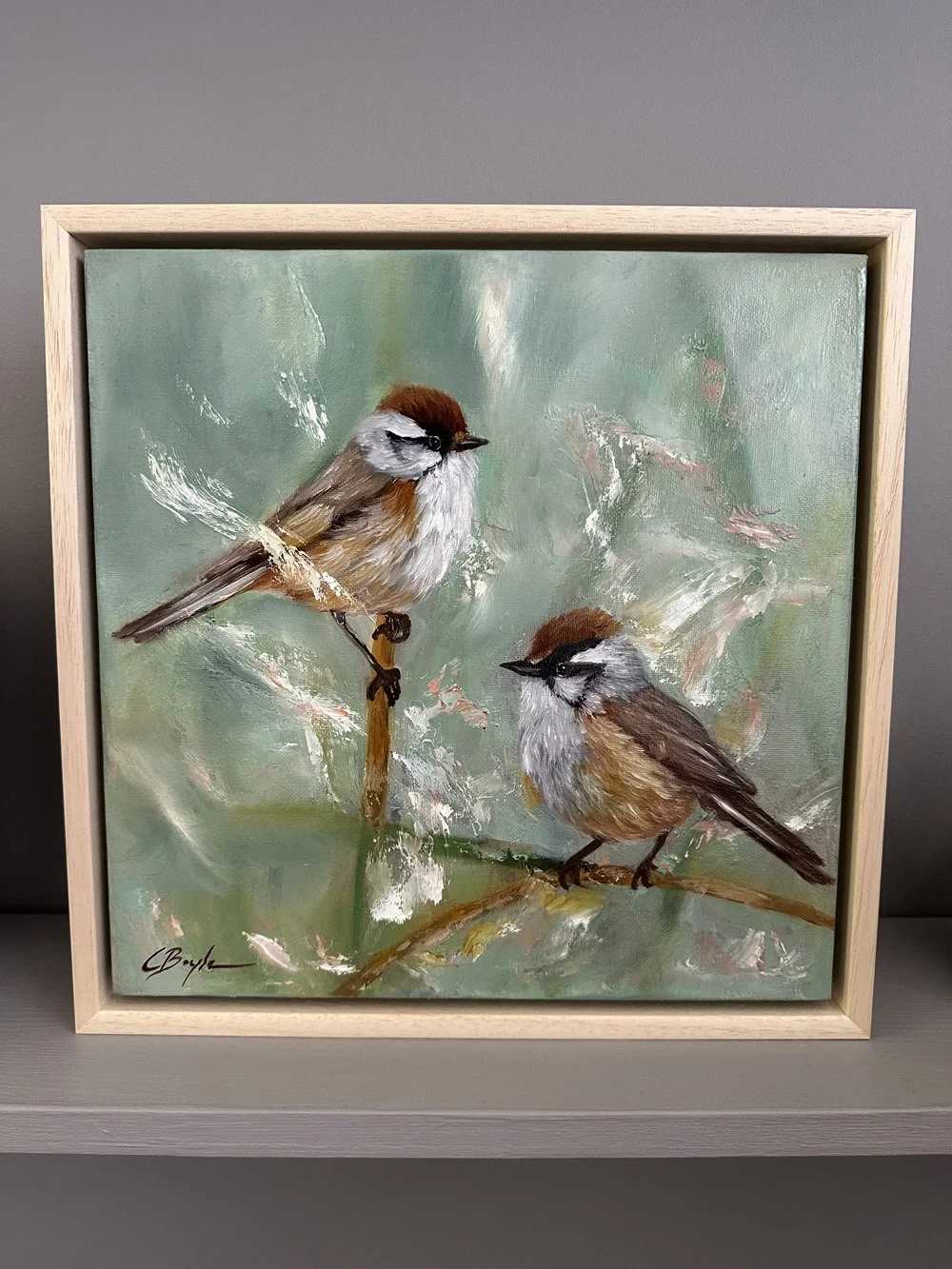 Bearded_Tit_in_Reeds.jpg