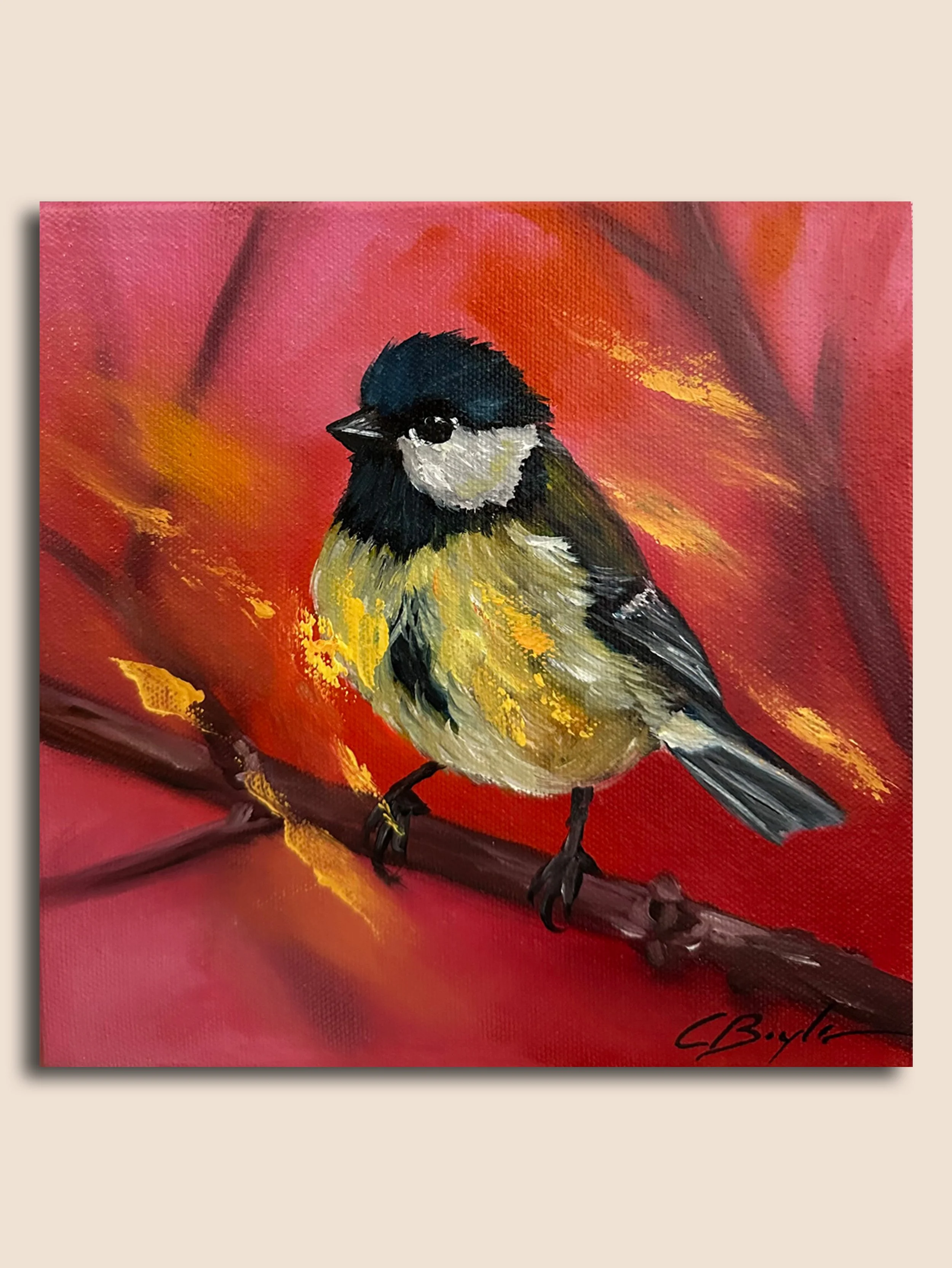 Bluetit in Red MI.jpg