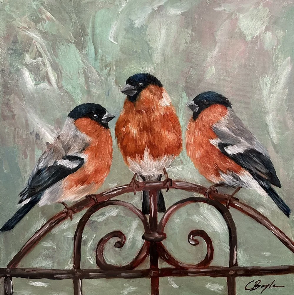 Bullfinch Social Gathering - Oil on Canvas - 30 x 30cm
£210 (Framed)