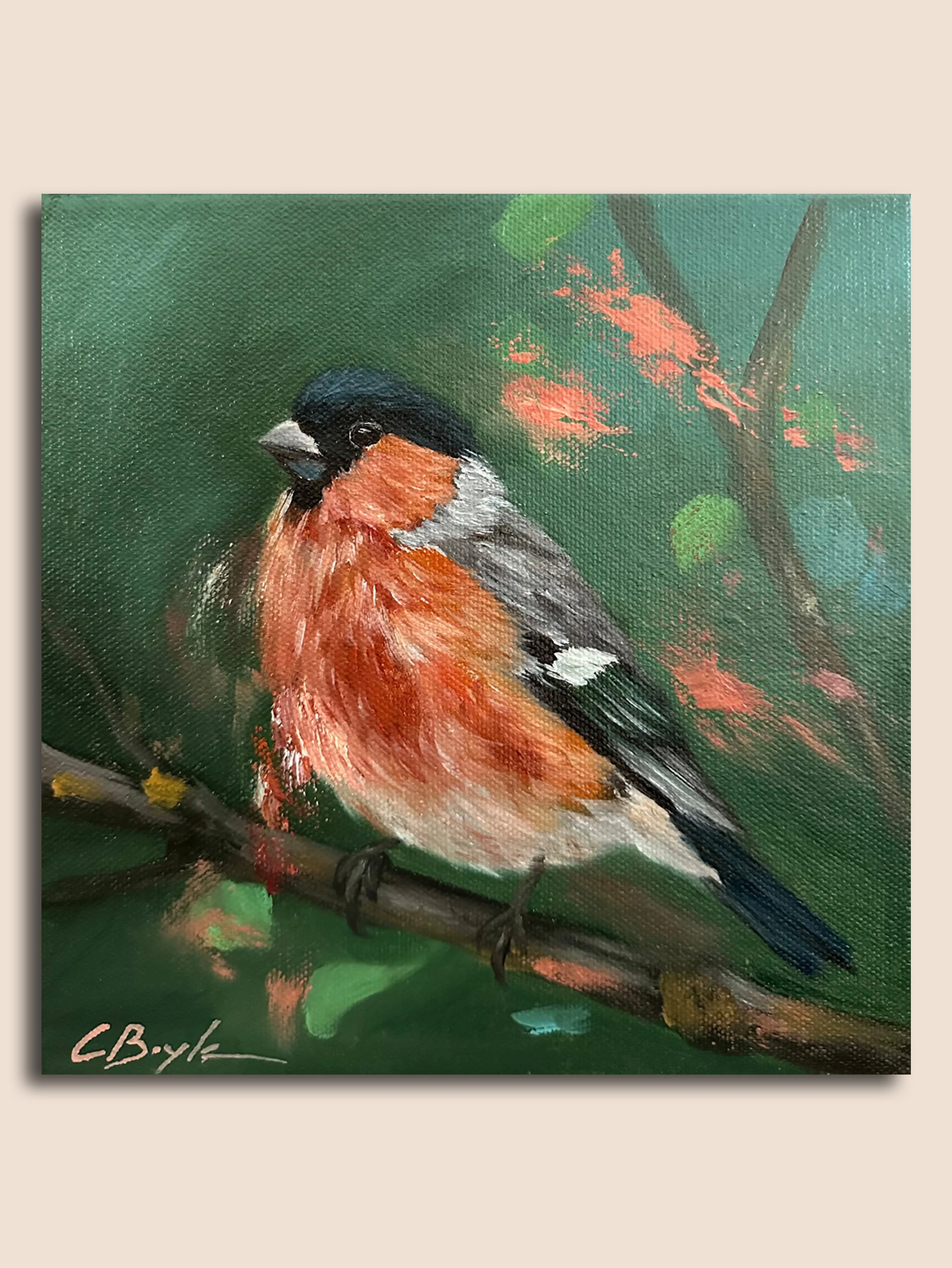 Bullfinch MI.jpg