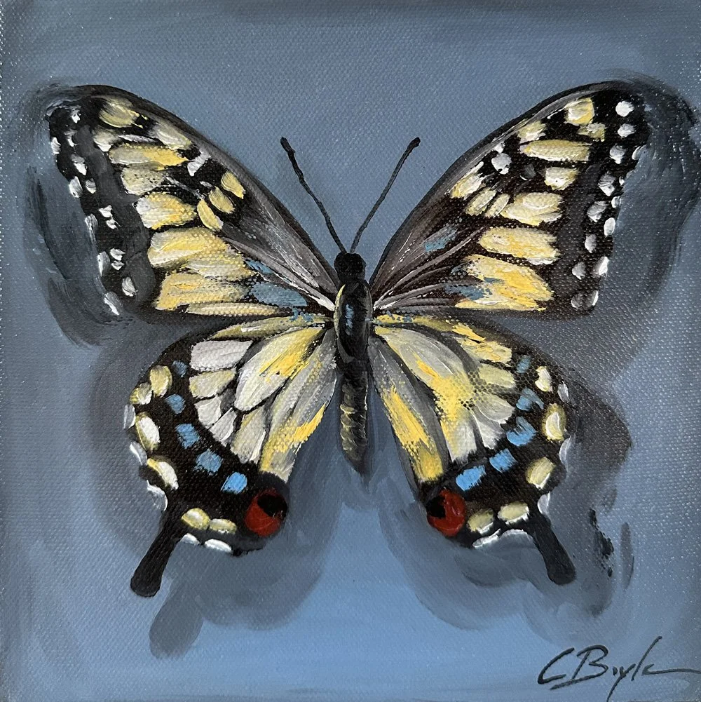 Pause of Flight - Oil on Canvas - 20 x 20cm 
£175 (Framed)