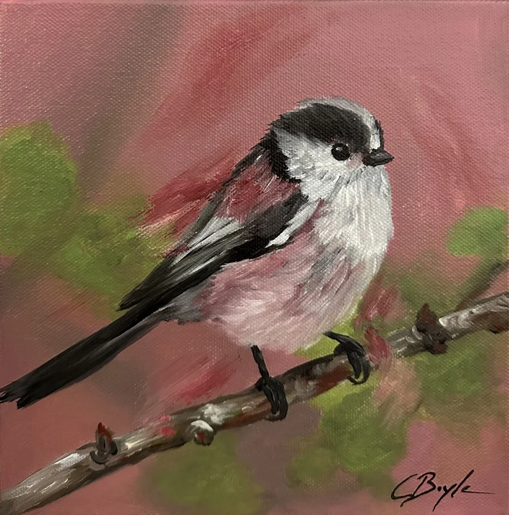 Long-Tailed Tit in Shades of Pink - Oil on Canvas - 20 x 20cm
£175 (Framed)
