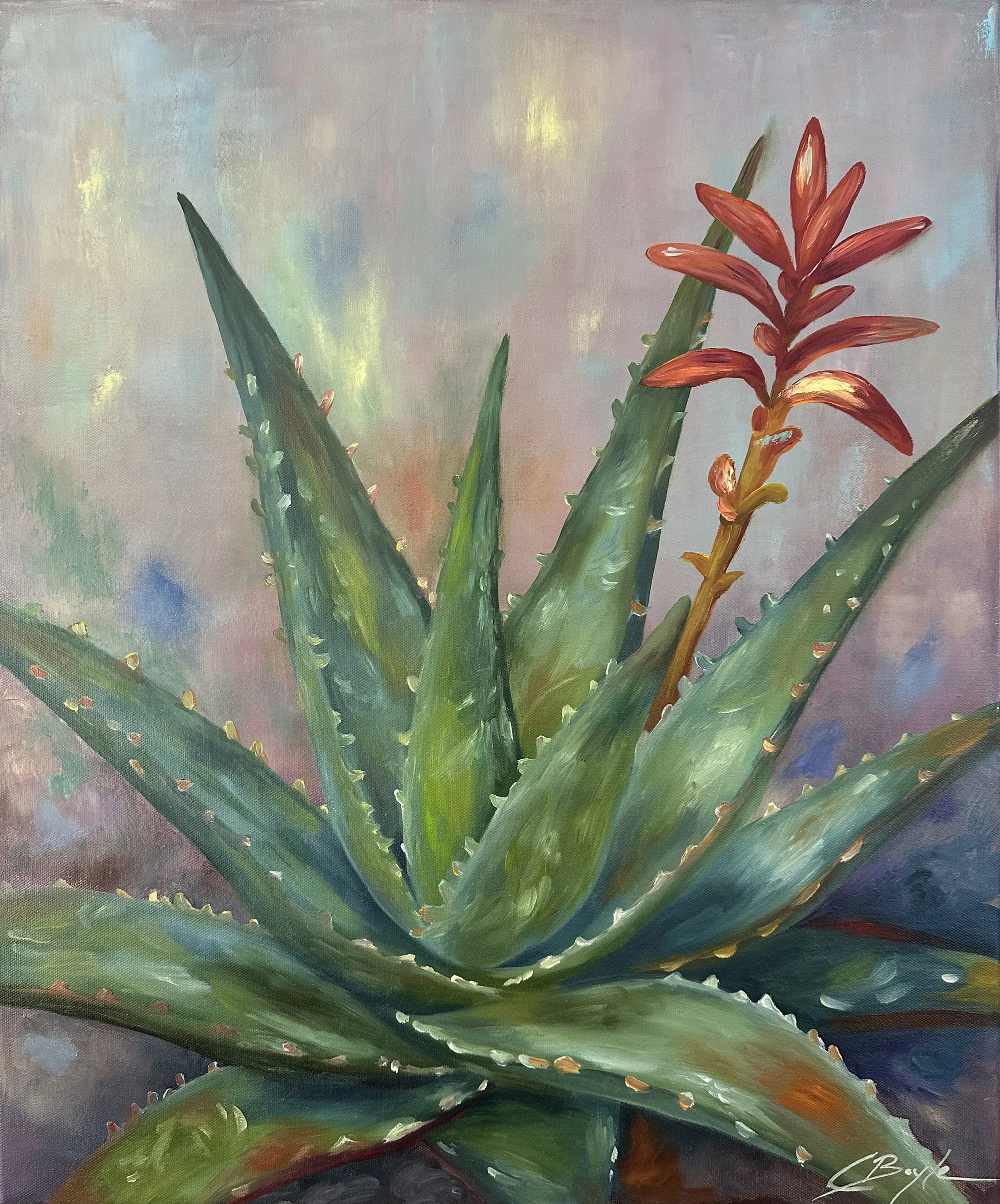Aloe Inforescence.jpg