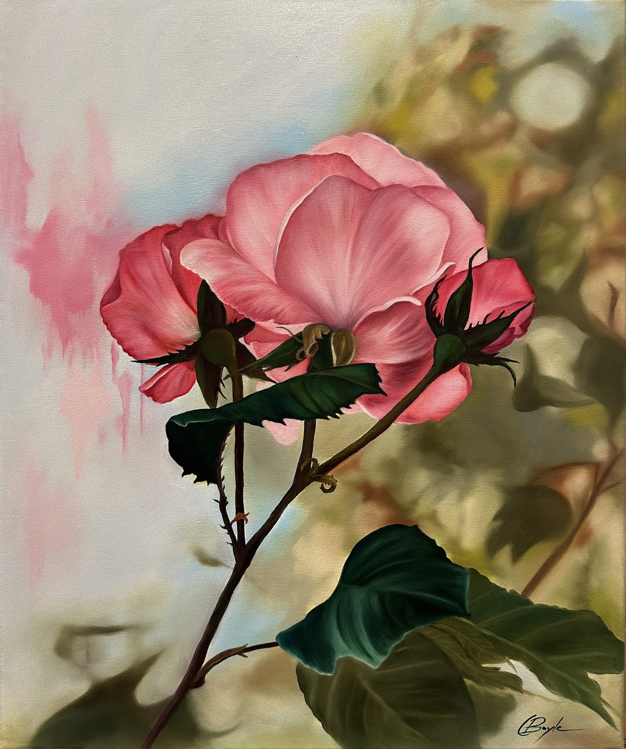 'Where Petals Dream'