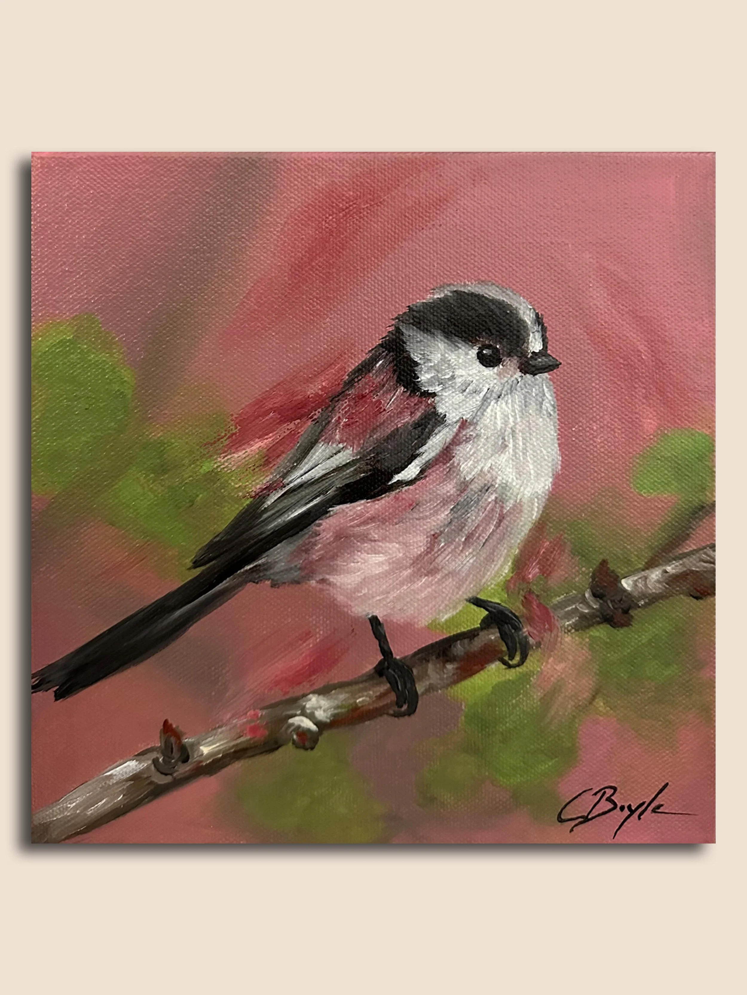 Long Tailed tit in shades of pink MI.jpg