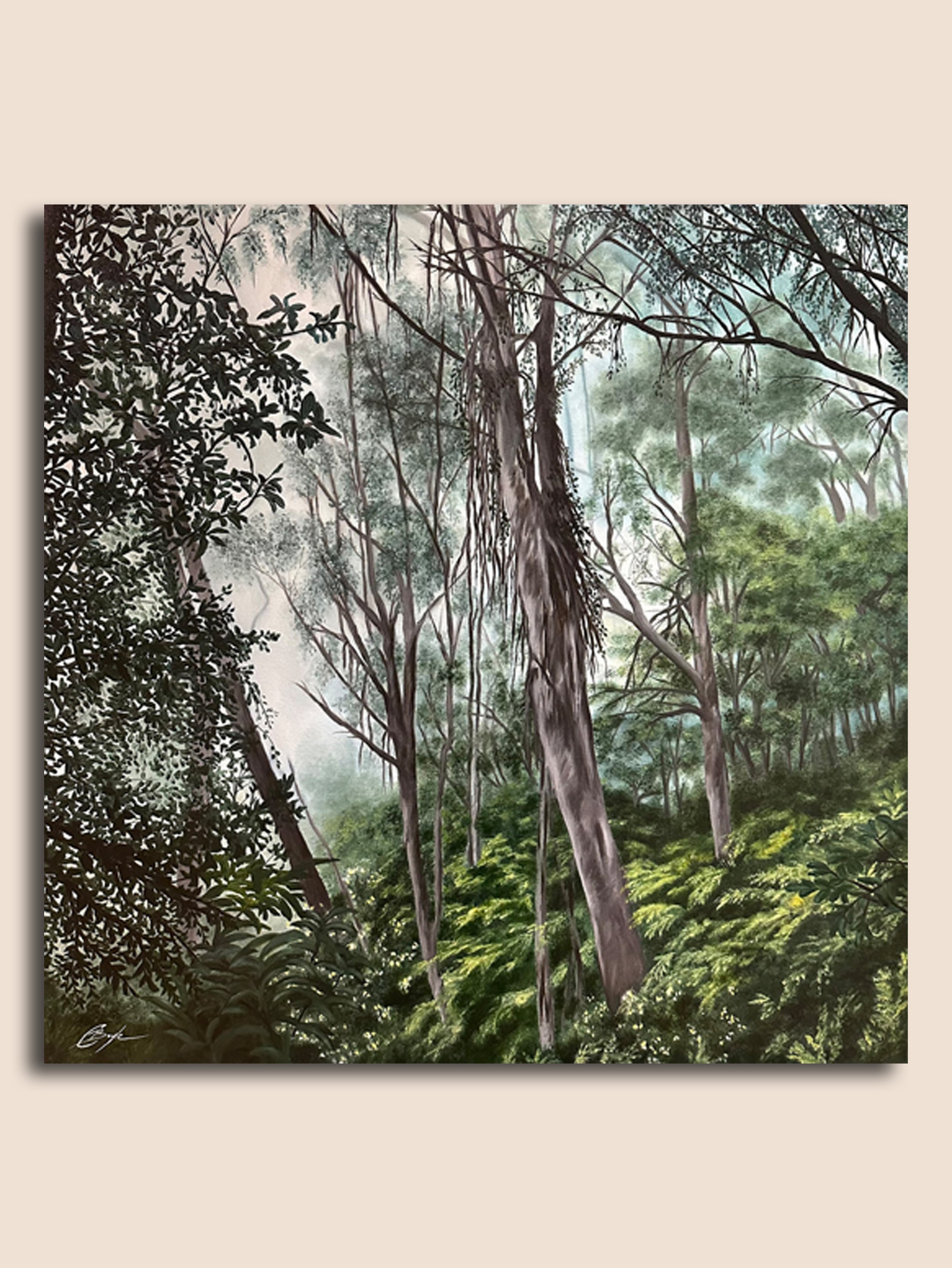 WHISPERS OF AN ANCIENT FOREST