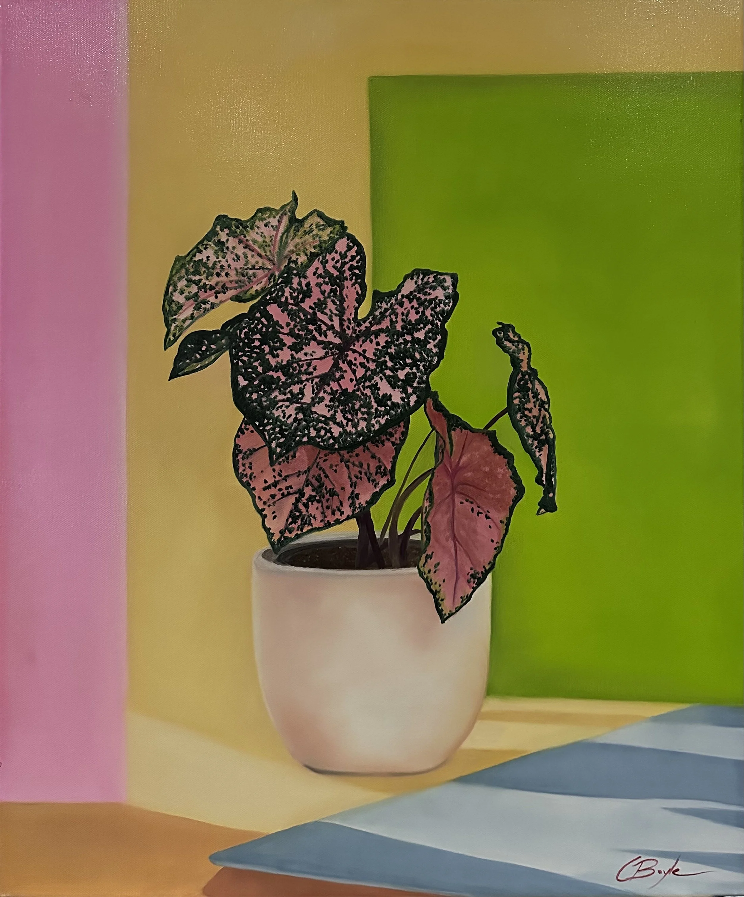 Holding Summer - Oil on Canvas - 61 x 50.5cm
Available