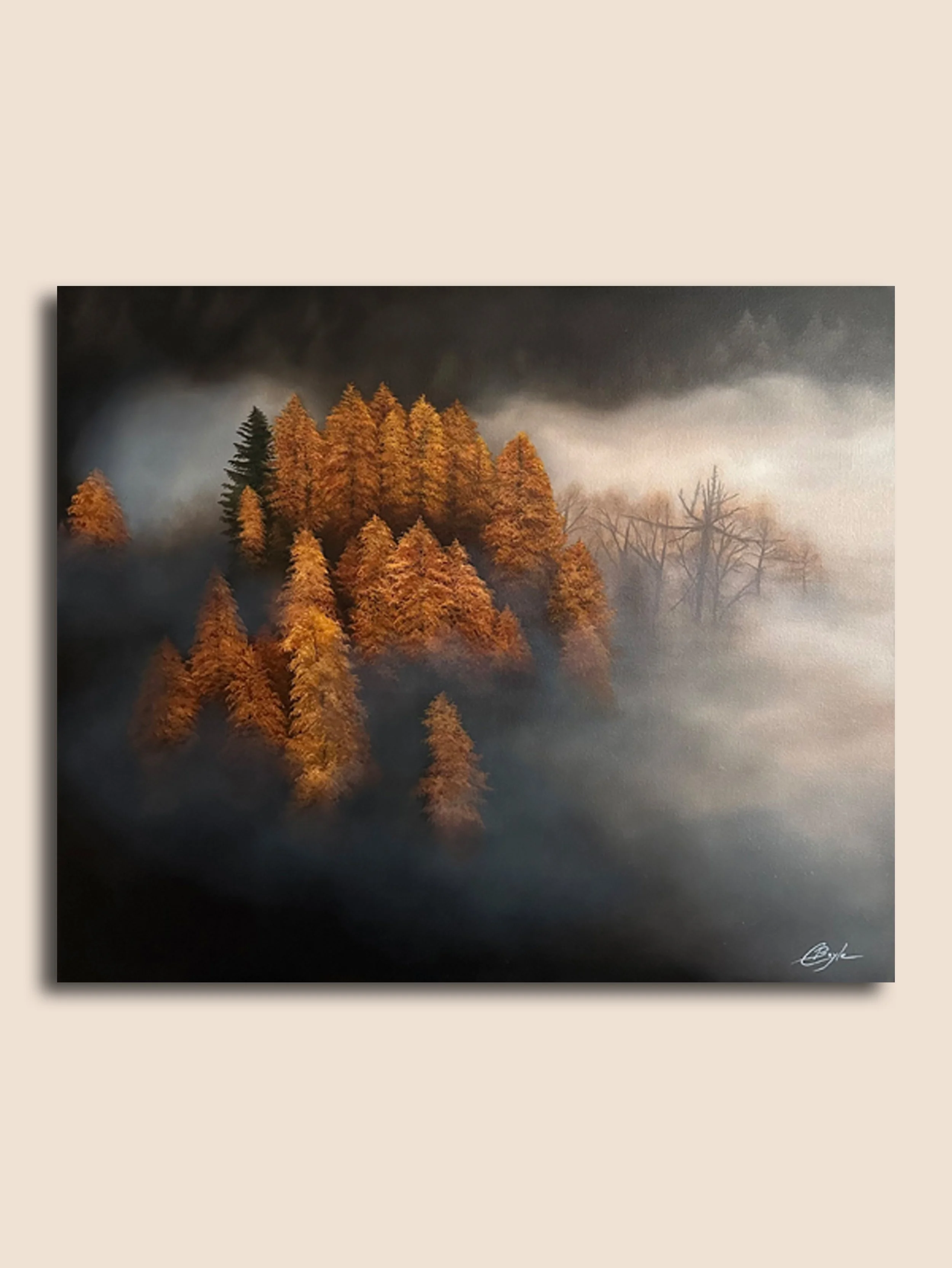ECHOES IN THE MIST