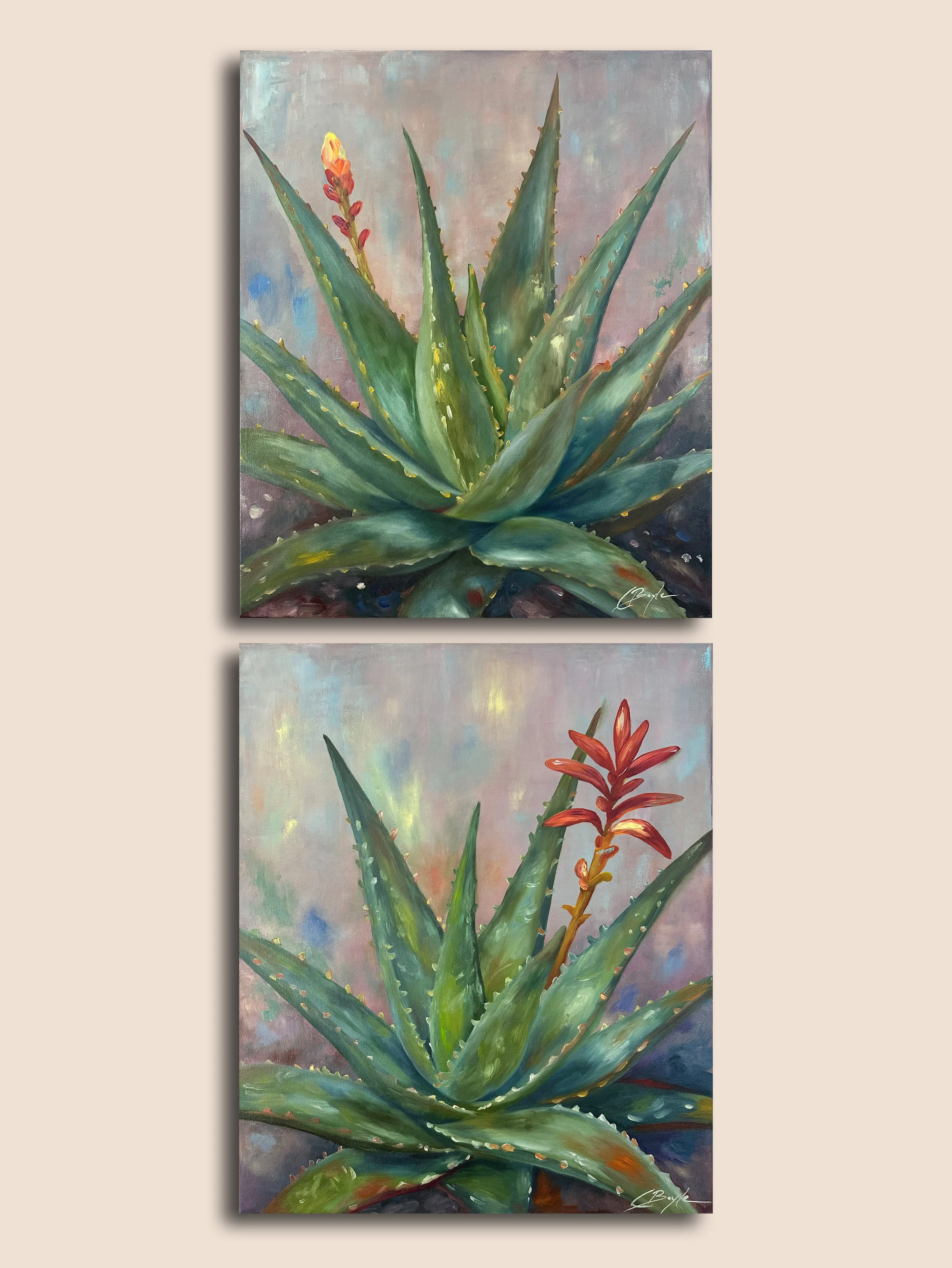 Aloe Inflorescence and emergent MI.jpg