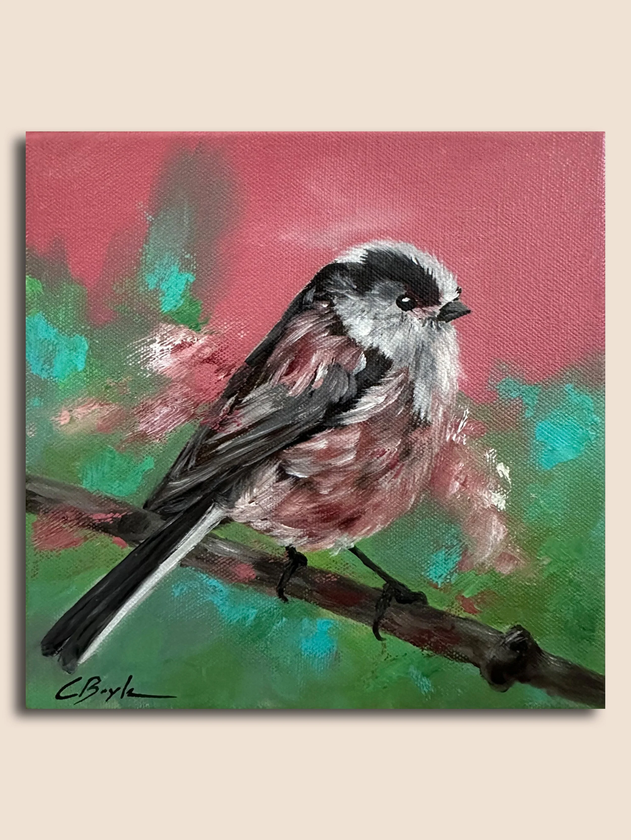 Long Tailed tit in spring MI.jpg