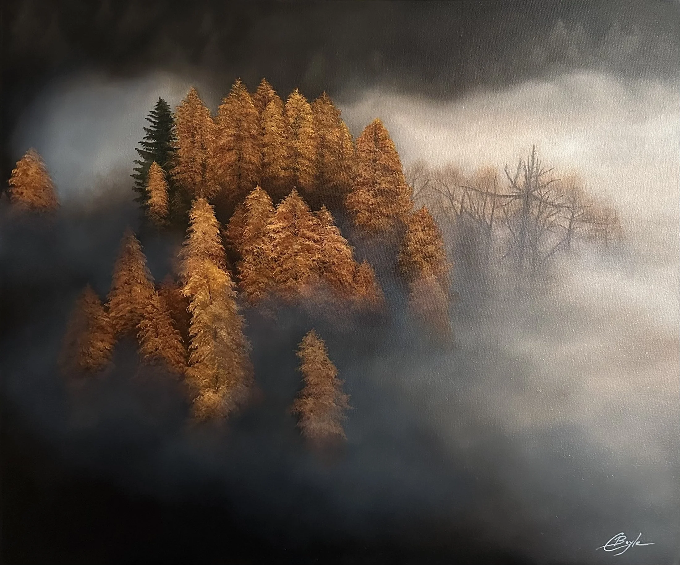 Echoes in the Mist - Oil on Canvas - 60 x 76cm
SOLD