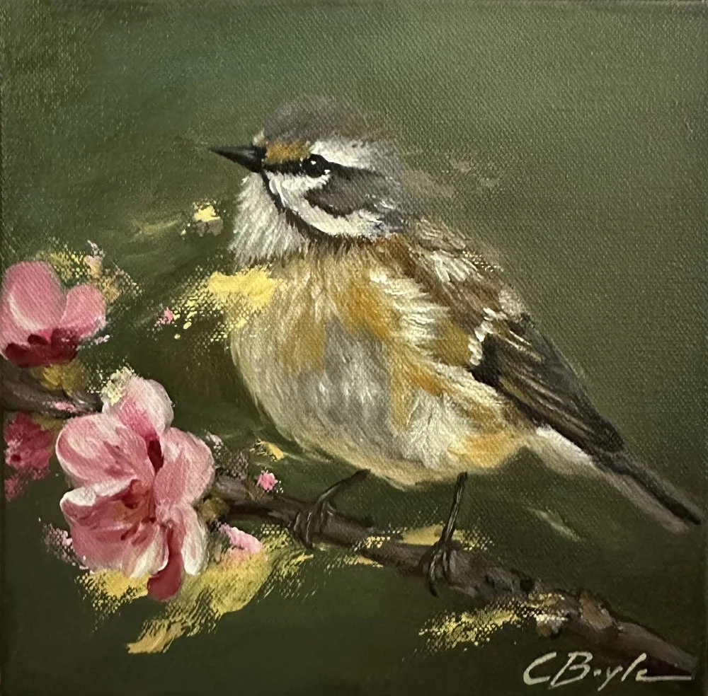Bearded Tit - Oil on Canvas - 20 x 20cm
£175 (Framed)