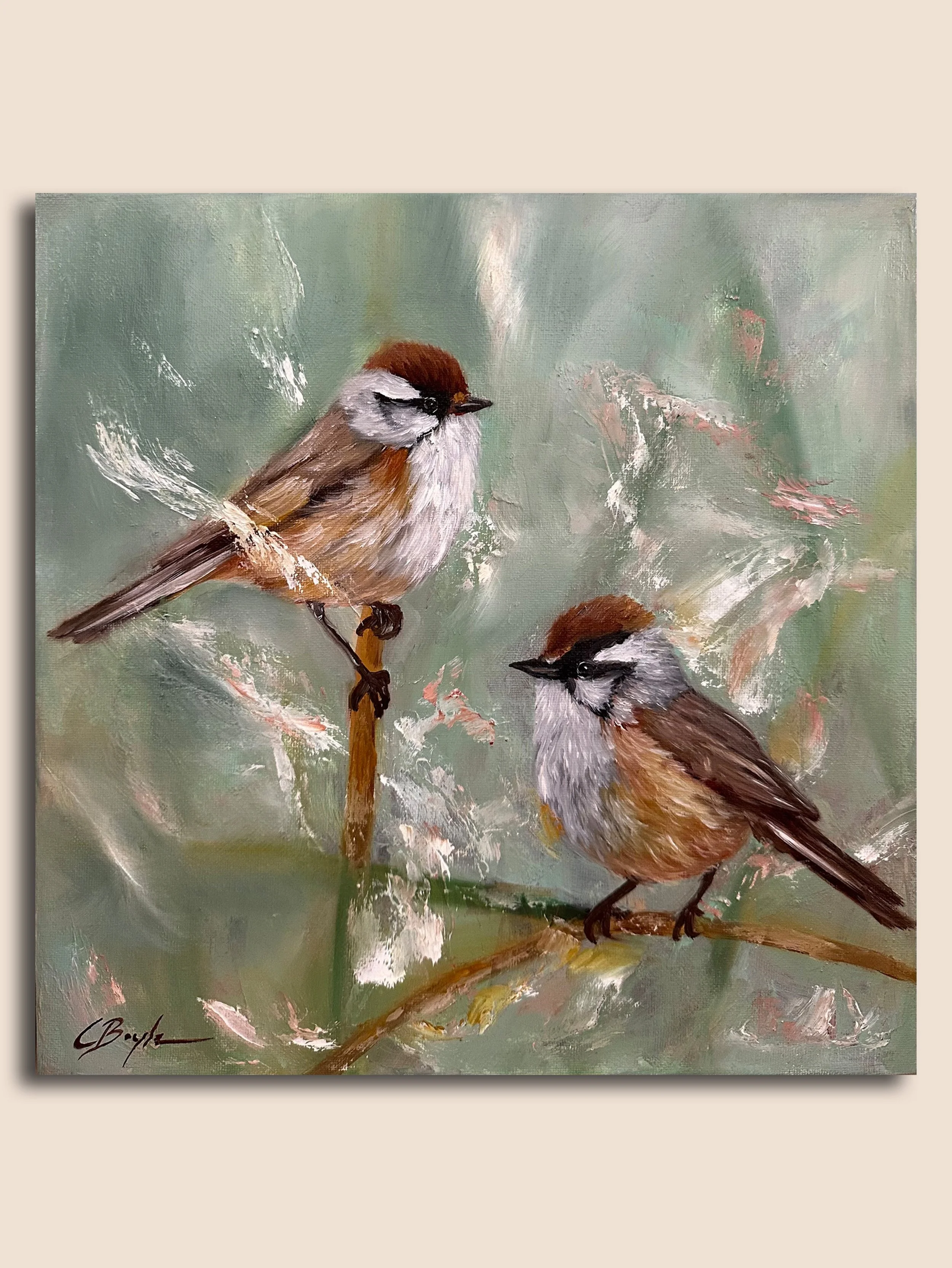 Bearded Tit in Reeds MI.jpg