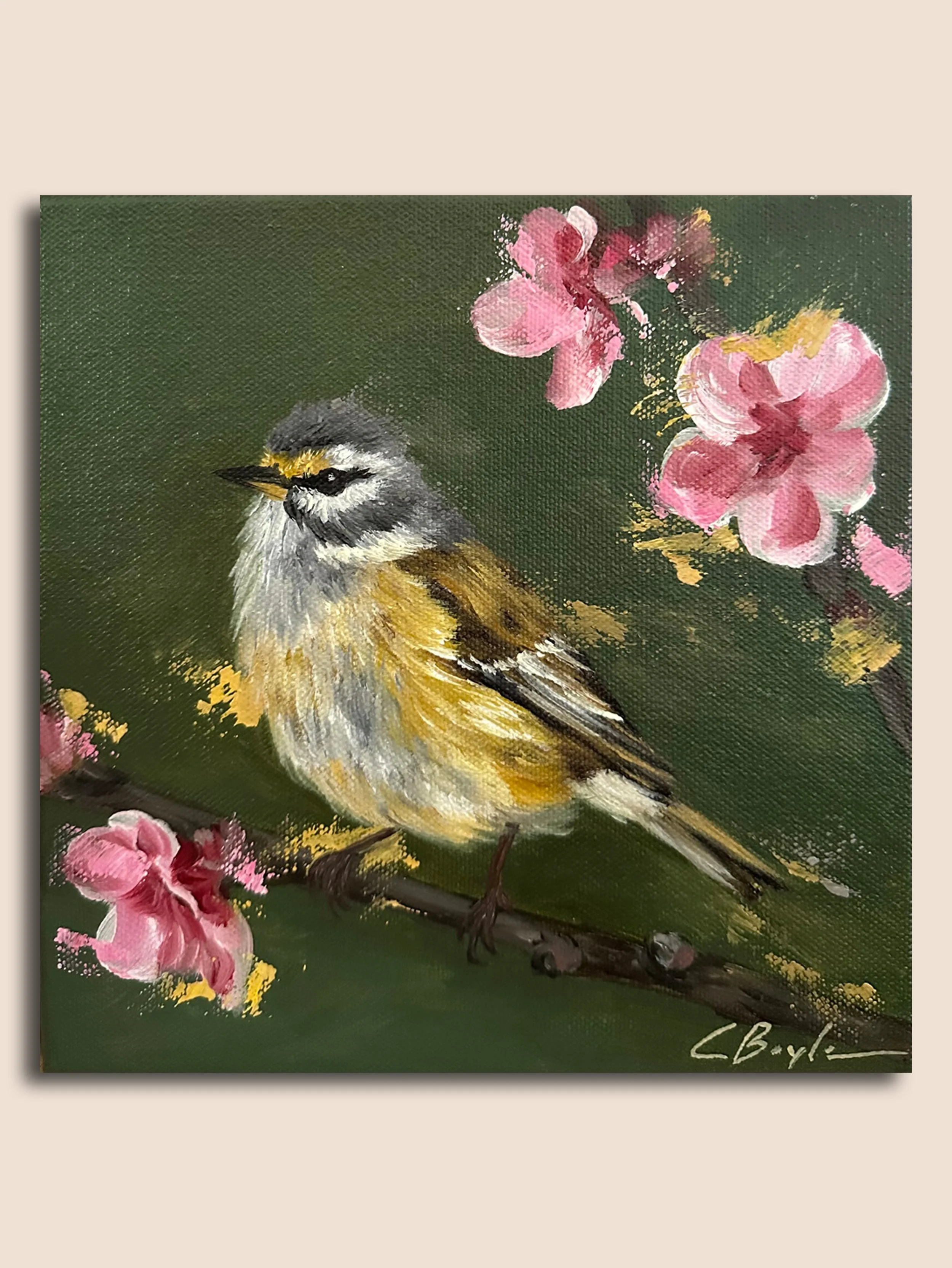 Bearded Tit among blossoms MI.jpg