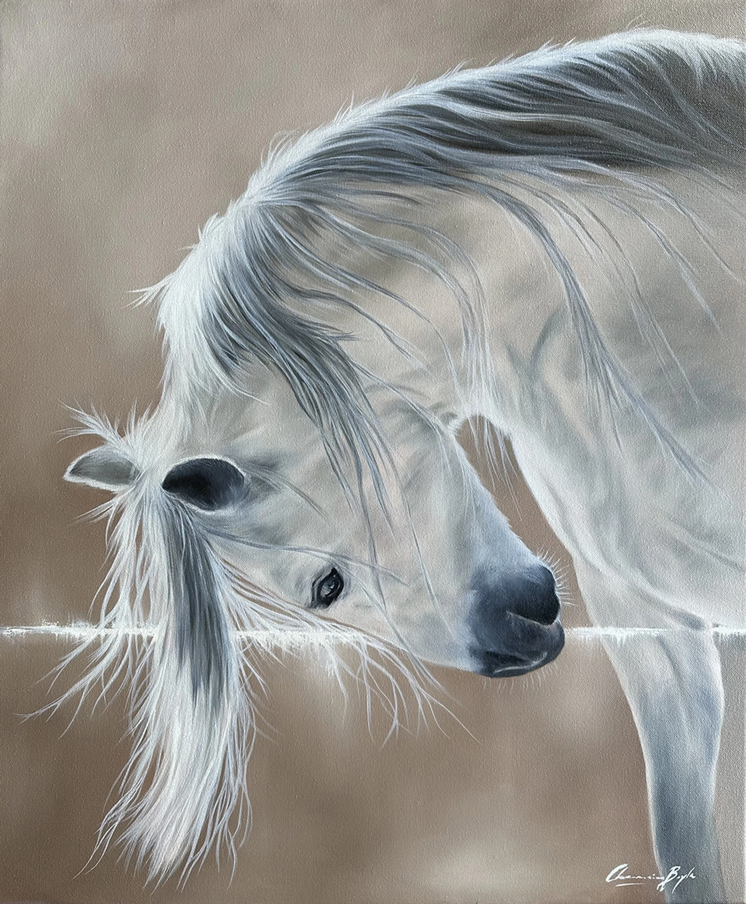 Catching the Light - Oil on Canvas
Available - enquire