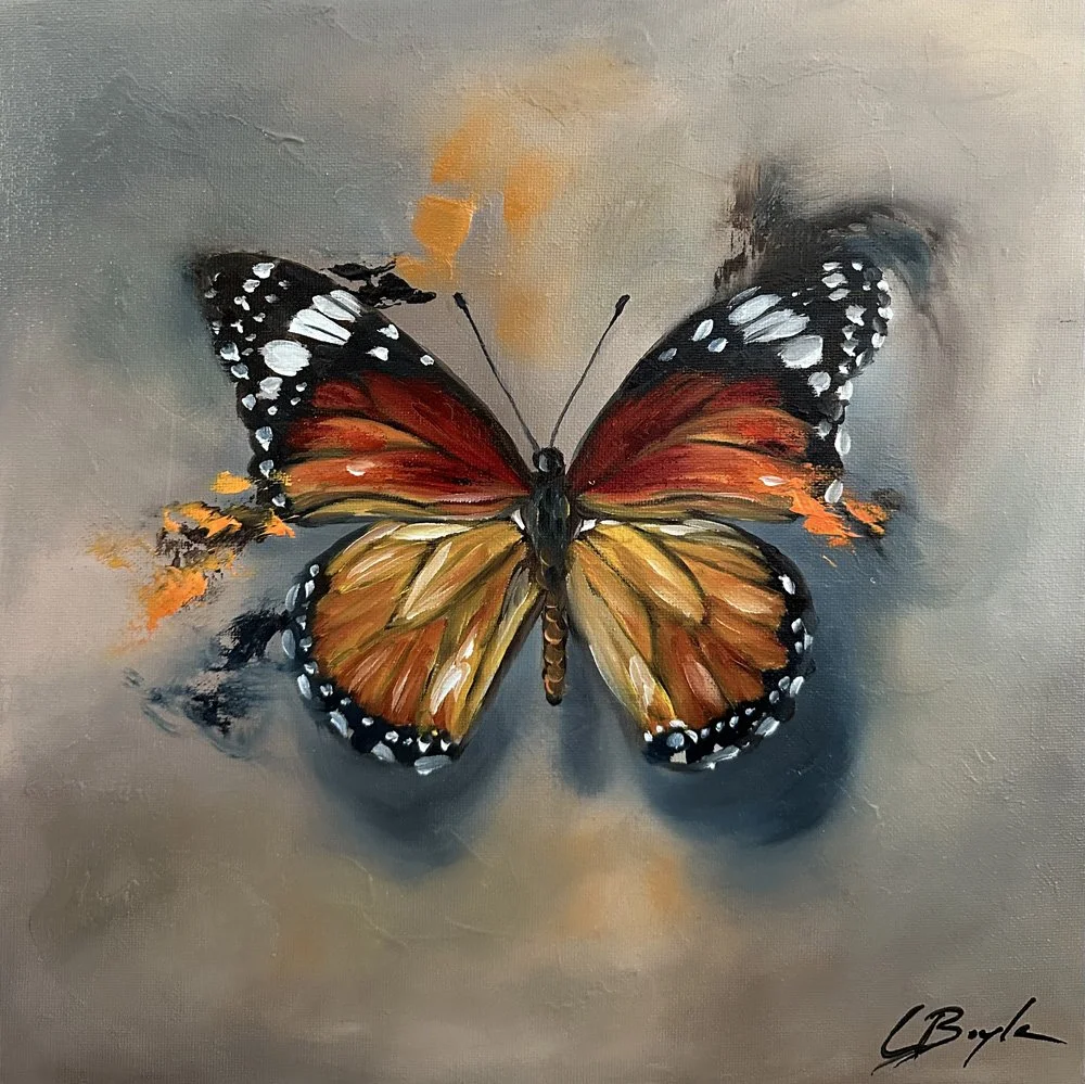 Burnished Wings - Oil on Canvas - 30 x 30cm
£210 (Framed)  