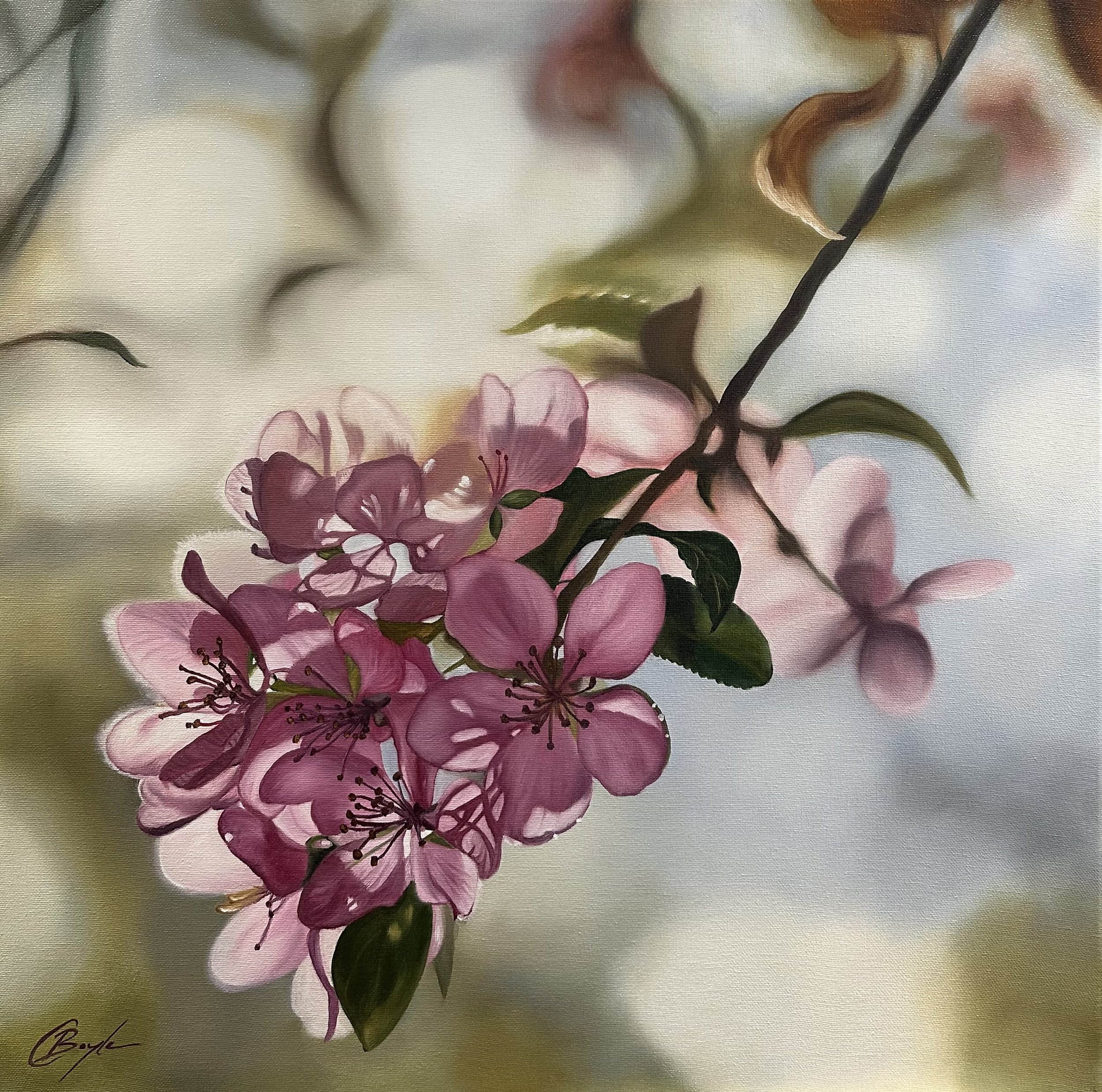 Charmaine_Boyle_Ephemeral_Glow_Oil_on_Canvas_60x60cm_2025.jpg