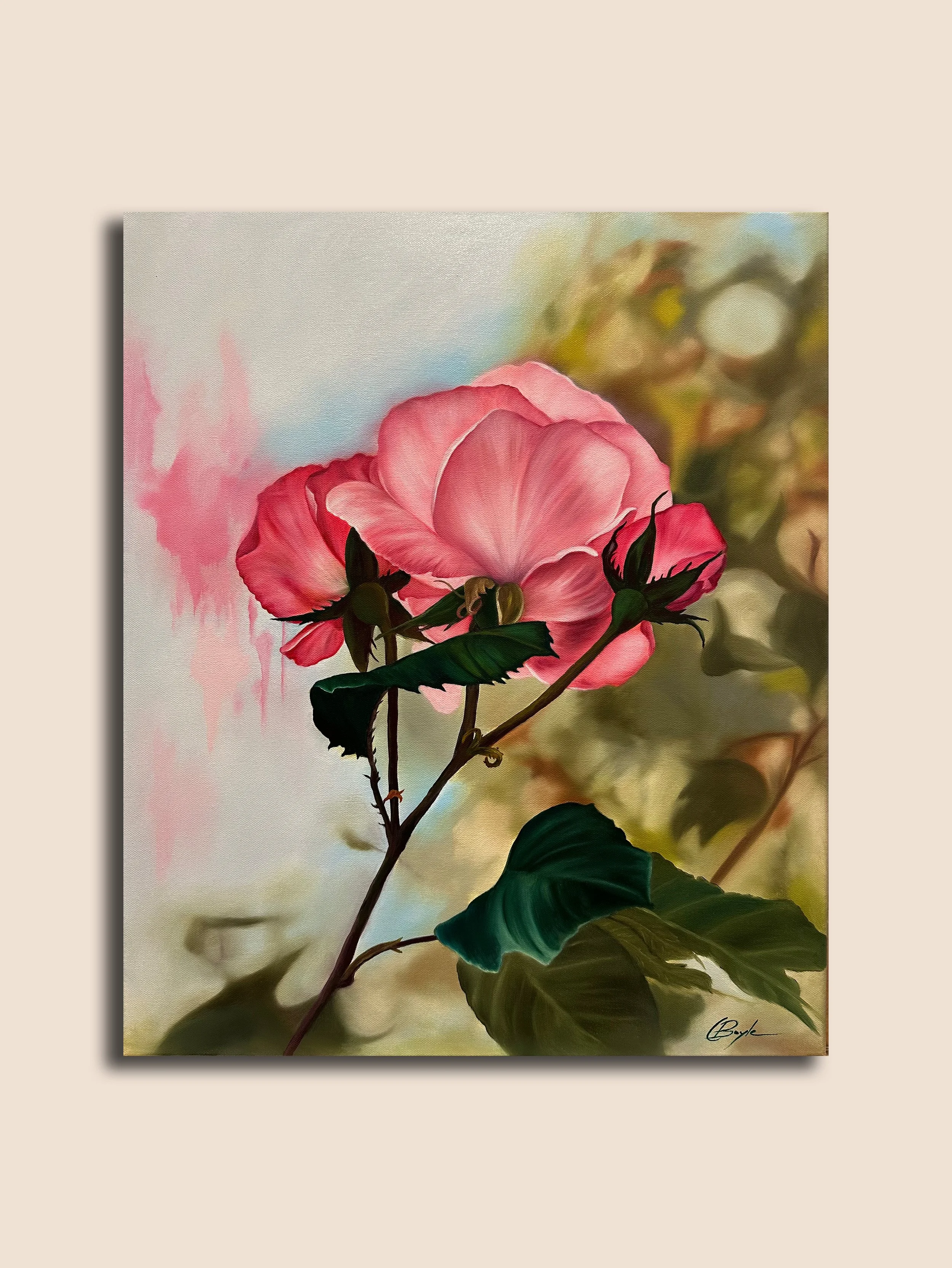 WHERE PETALS DREAM