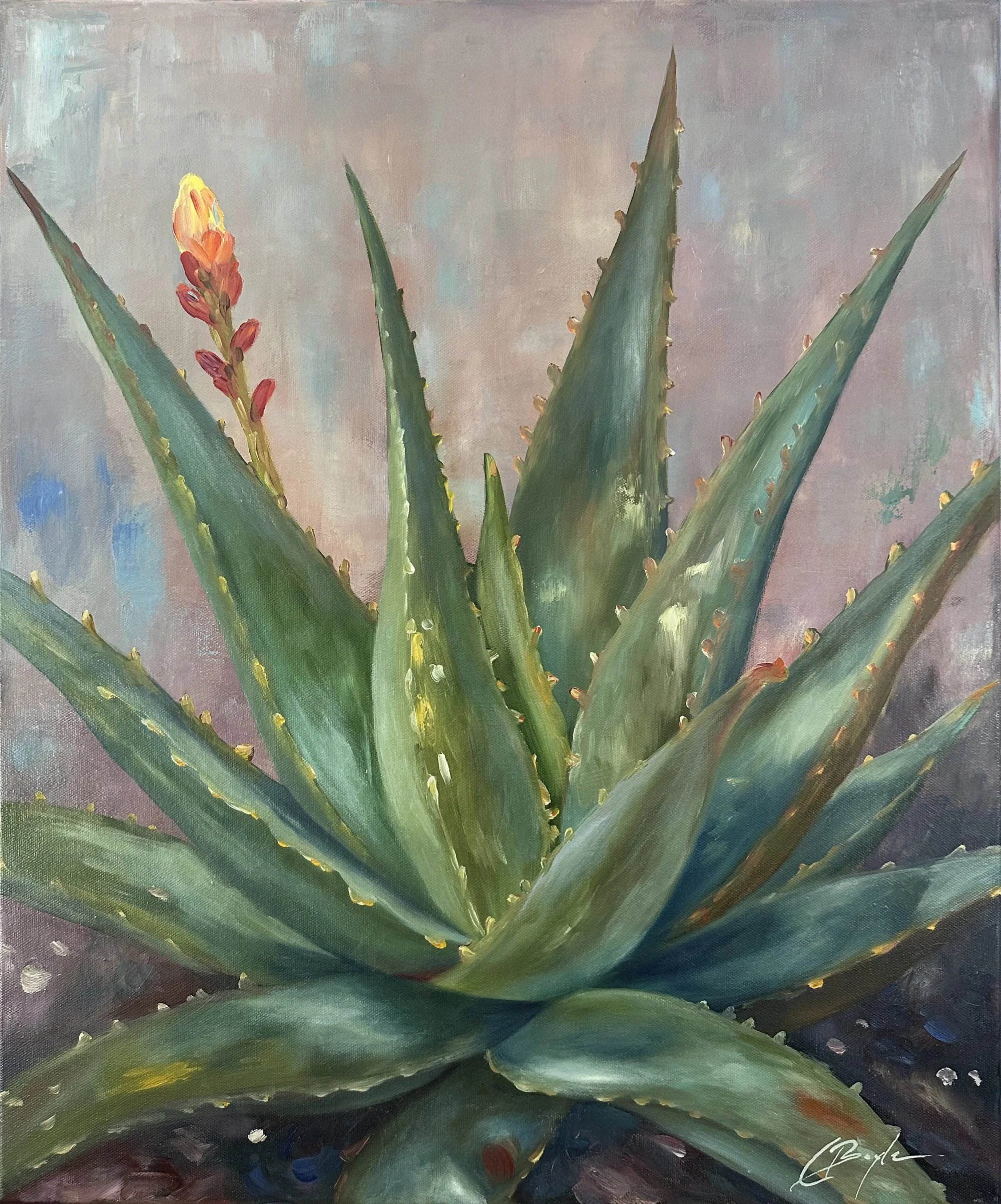 Aloe Emergent 61x51cm.jpg