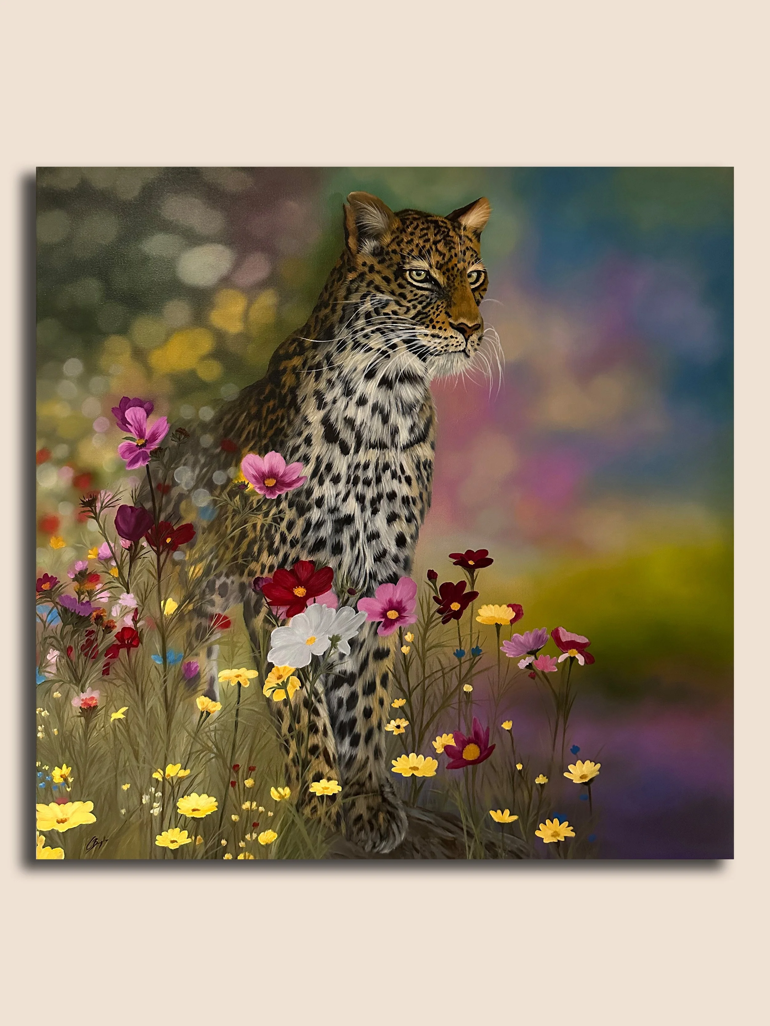 DELICATE & WILD