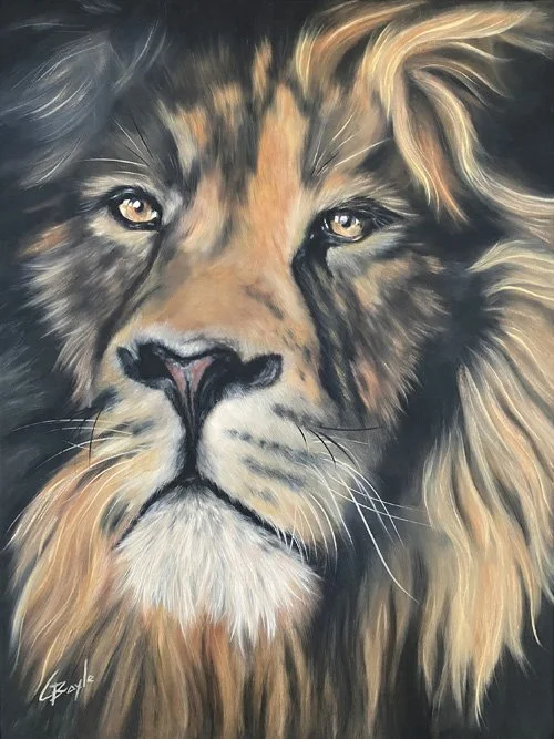 Bushveld Reign 61x46 small.jpg