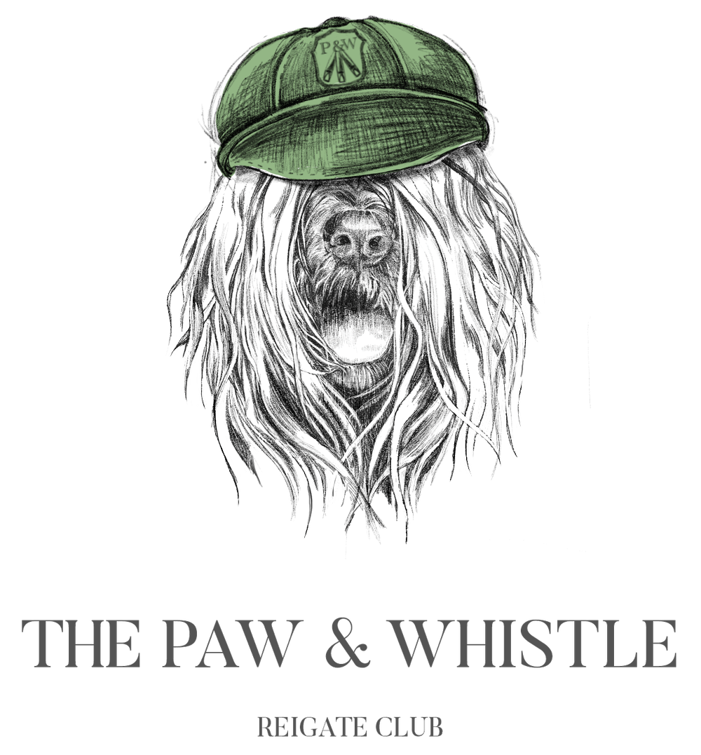 Daycare — The Paw Shed