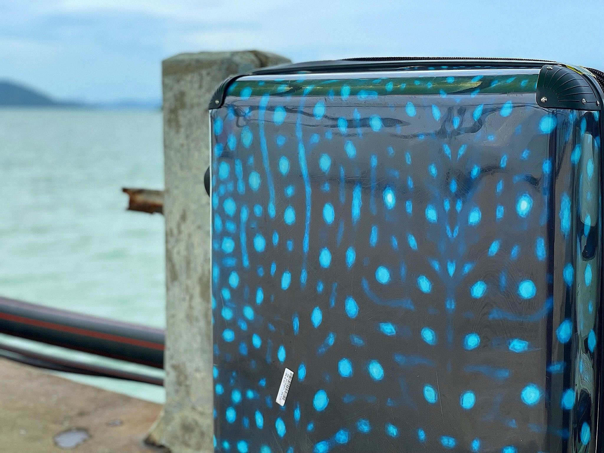sea+by+shells+whale+shark+suitcase.jpg