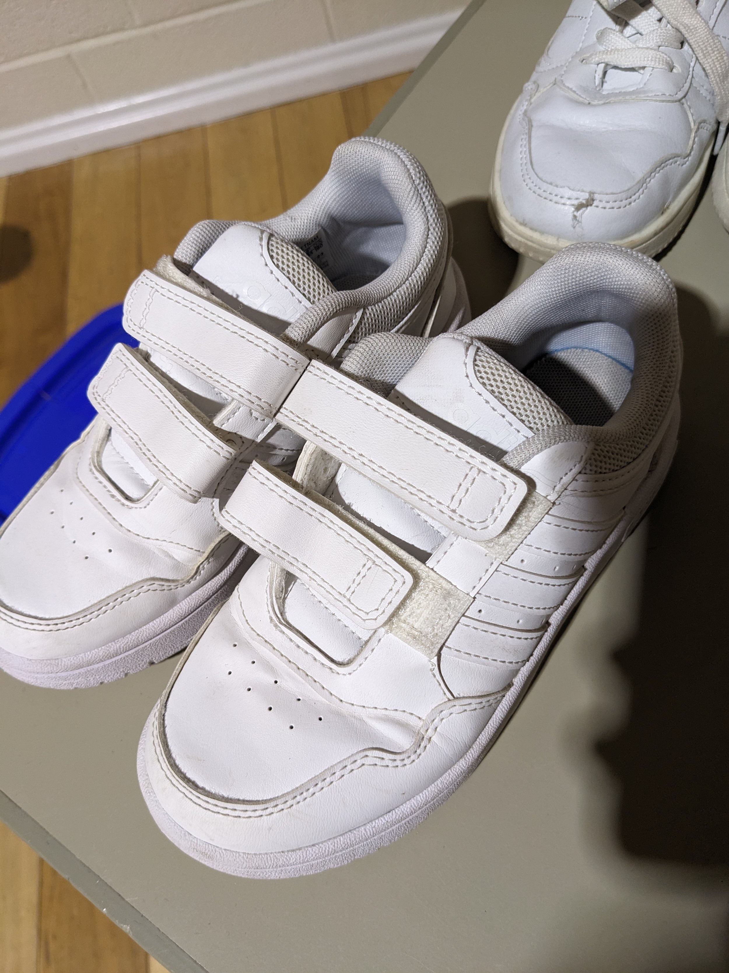 White trainers (worn) - Size 12 - FREE