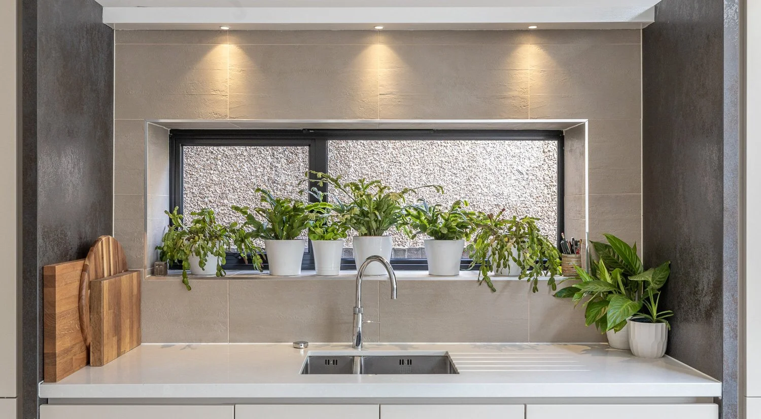 Contemporary slate and white kitchen with indoor kitchen plants