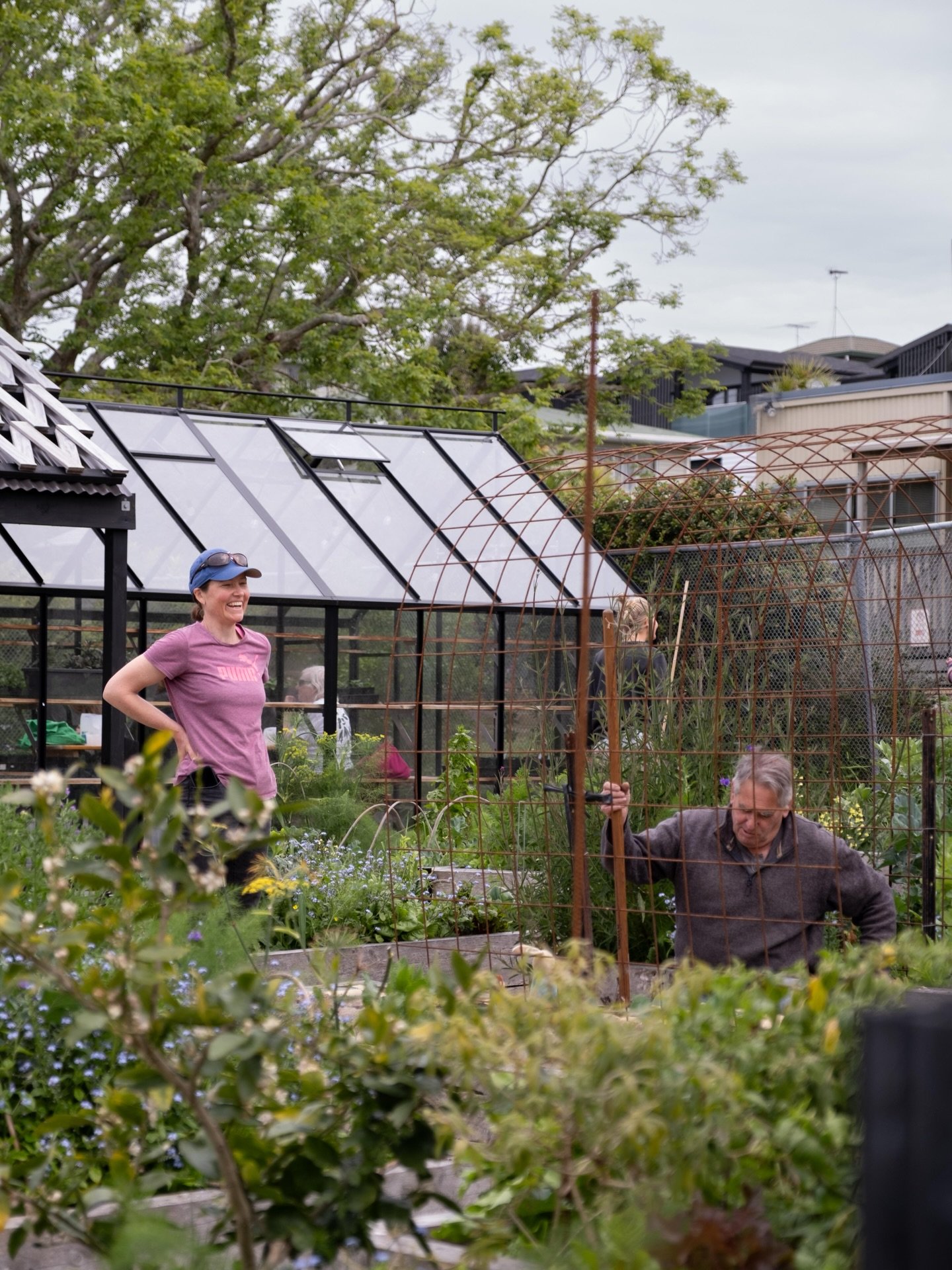 Spring in the garden is looking SO pretty with blossoms and blooms at every turn 🌸🌼 Preparations are well underway for the Spring Festival coming up in 2 weeks, so prep your beds and mark your calendar - Oct 18th for all your spring and summer veg 