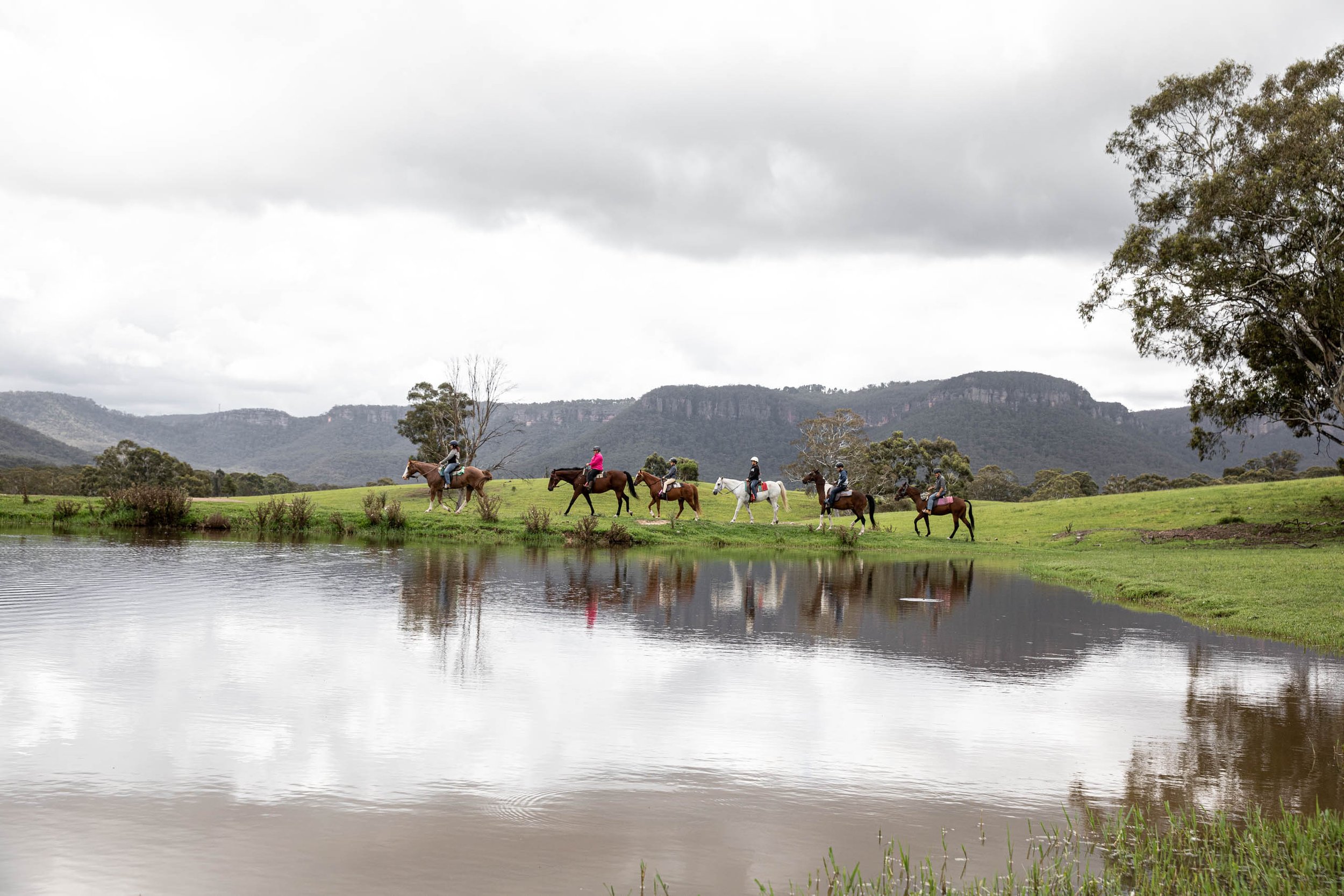 Blue Mountains Horse Riding, Centennial Glen Stables  (166).jpg