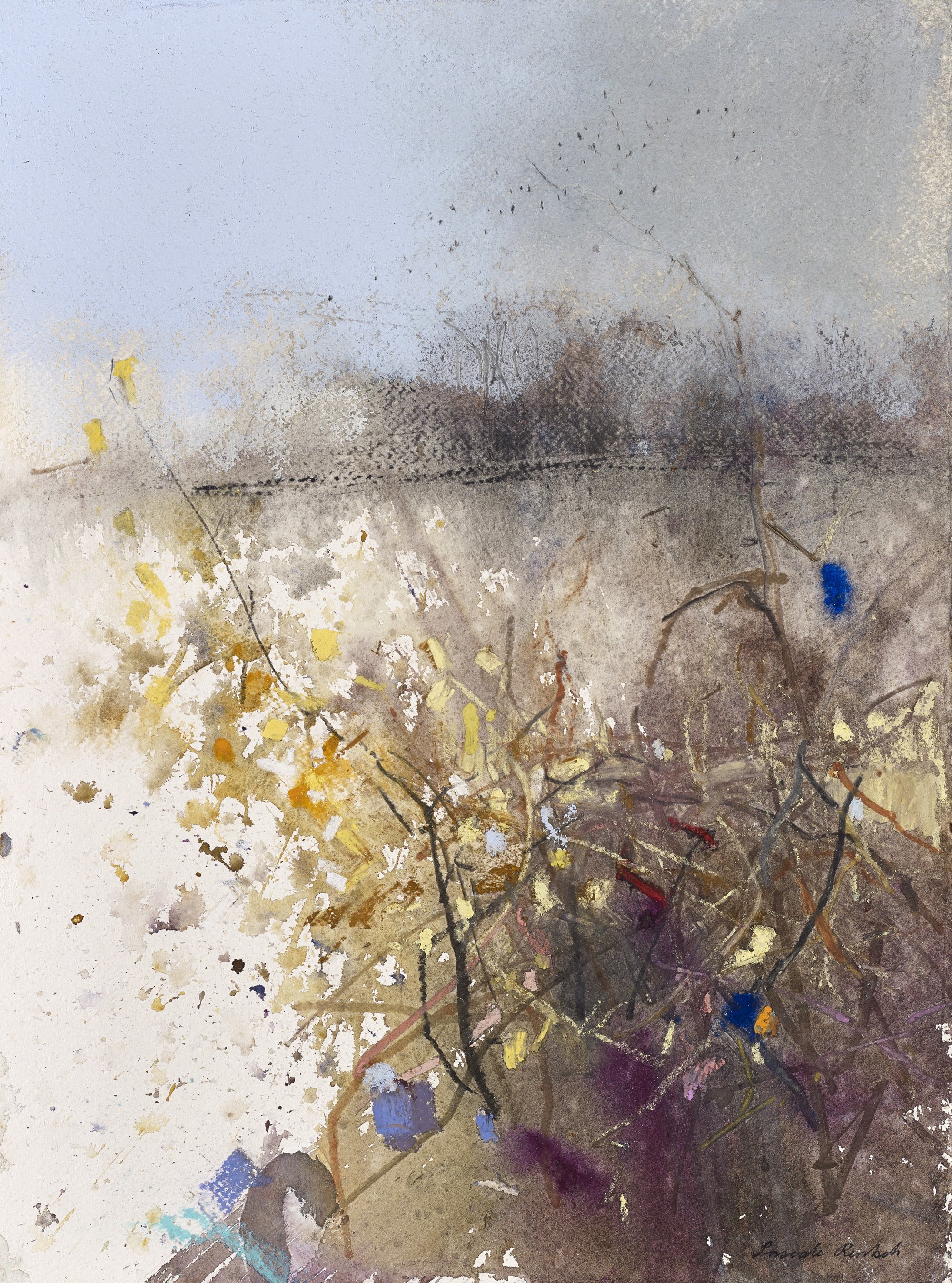 Small Birch Tree
