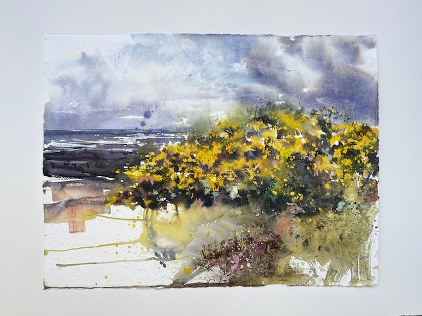 So joyful to walk through the Gorse Bushes. It feels like a bath of sunshine! I close my eyes and smell the delightful scent.

25th April 24
58x76cm

#coast #coastline #blossom #gorse #enpleinair #sea  #breathing #flowers #exhibition  #landscape #sea