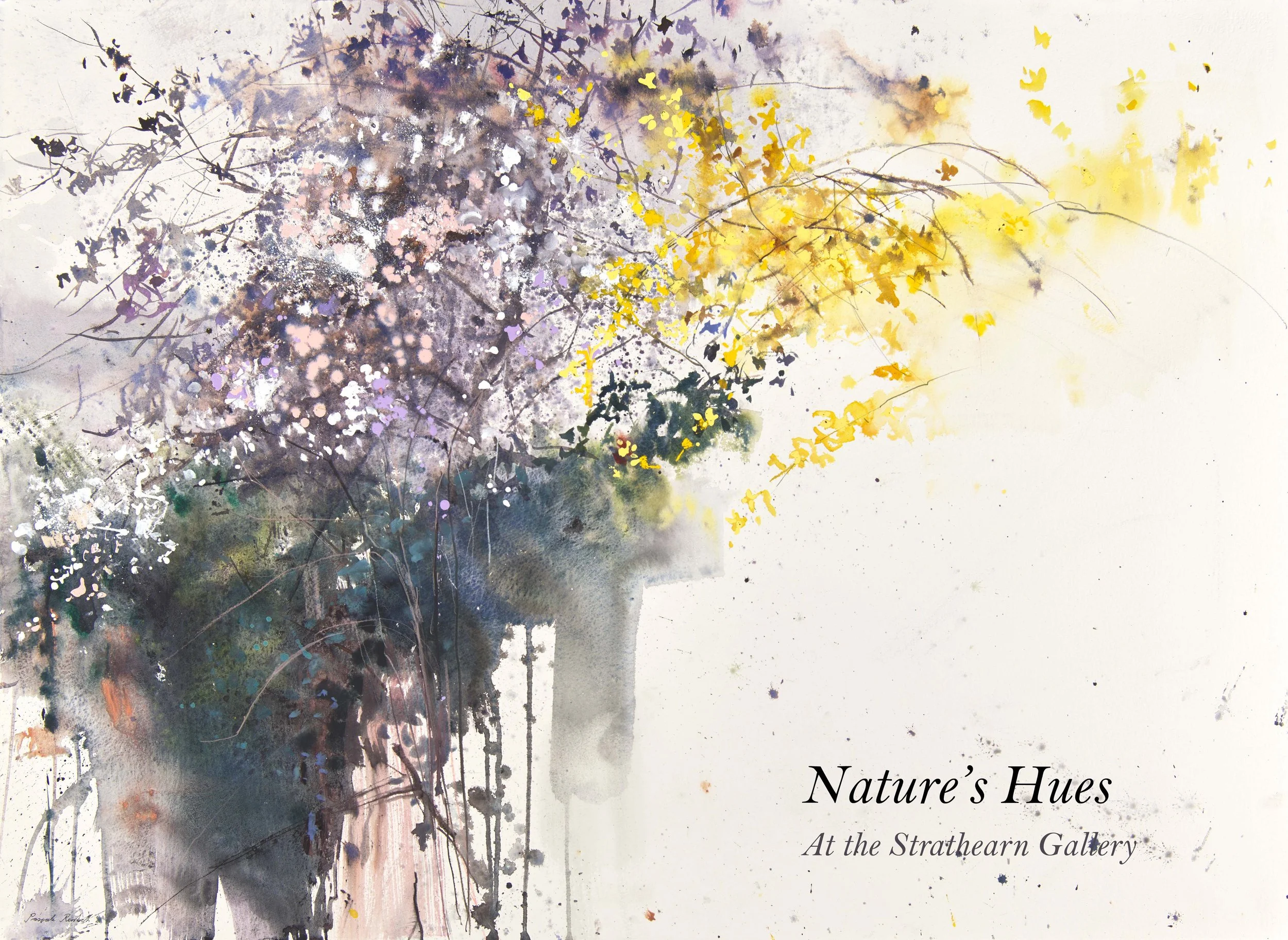 Nature's Hues at The  Strathearn Gallery