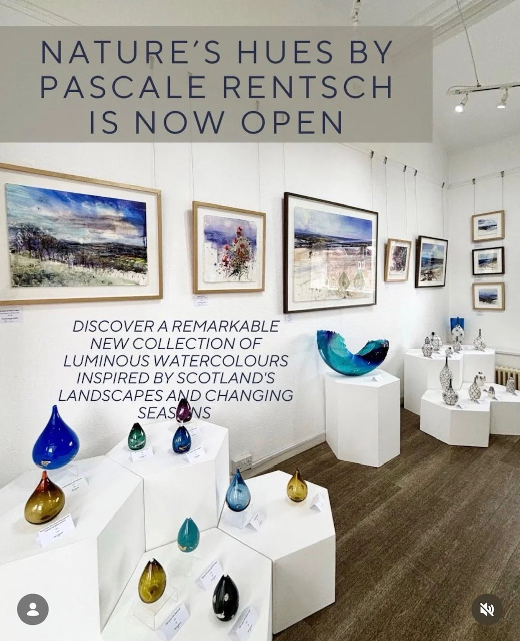 Nature's Hues is now open at The Strathearn Gallery 6th June - 5th July