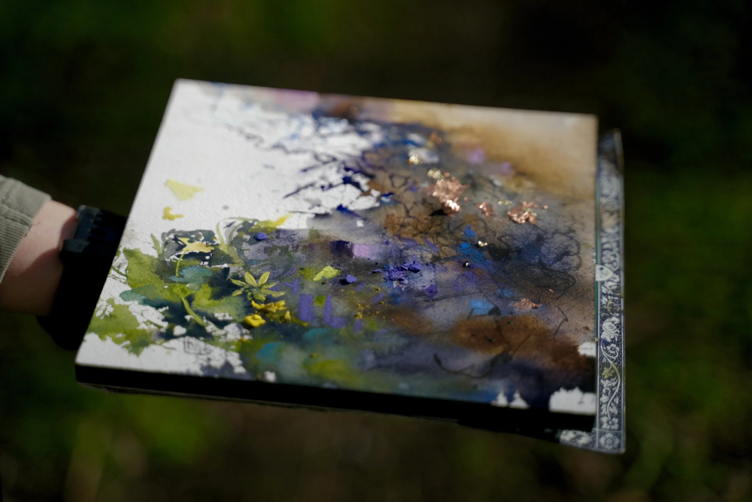 11. forest DSC01649.jpeg