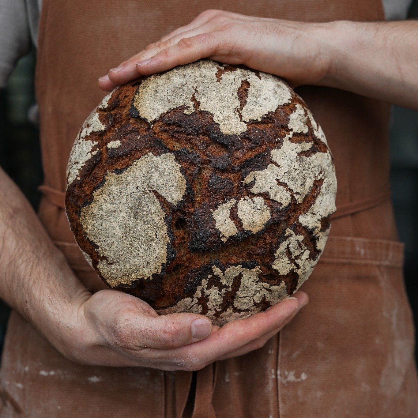 Our German Rye 🍞🌾

This hearty loaf is now made with 70% rye flour and 30% wheat. It contains nothing but flour, water, and salt and is 50% wholegrain.

We use Australian flour and a German technique resulting in a loaf with a tangy sour note, a de