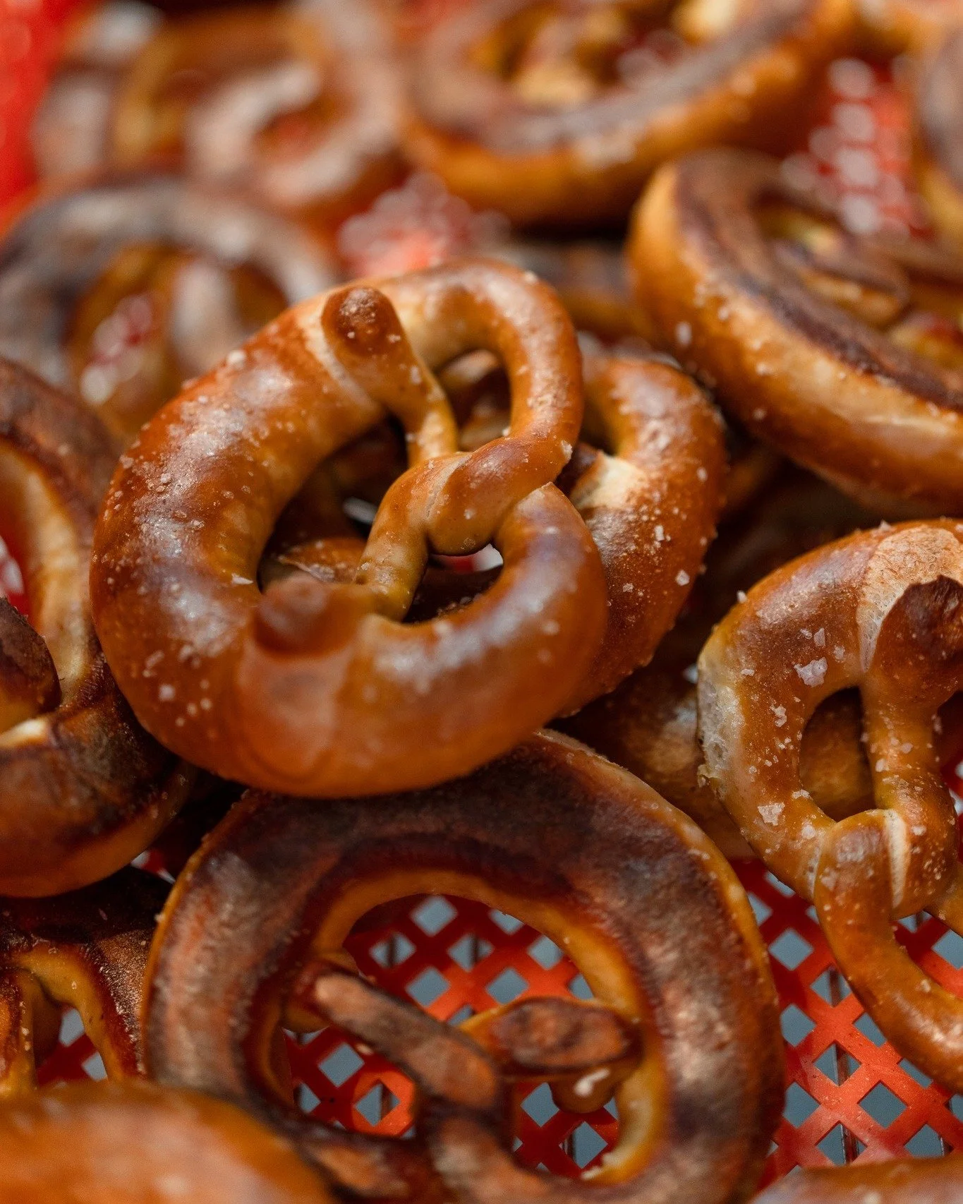 October 4th is about to get very German, and we're here for all of it 🥨🍺

We're teaming up with the legends at @missmosesbar for their Devilbend Oktoberfest, and trust us you want in on this..

Get down to 581 Sydney Rd, Brunswick for eight limited