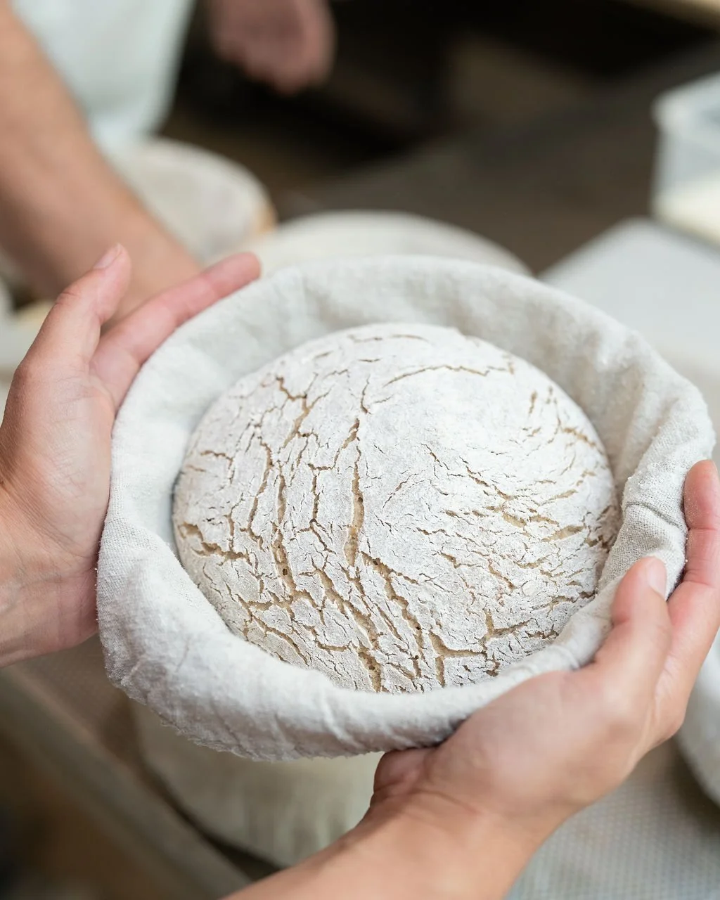 At Butterken Bakery, every loaf starts long before it reaches our ovens 🌾🤍

It begins with the farmers, the soil, and the millers who share the same values we do.

We are incredibly proud to work with @wholegrain_milling &mdash; a family-owned Aust